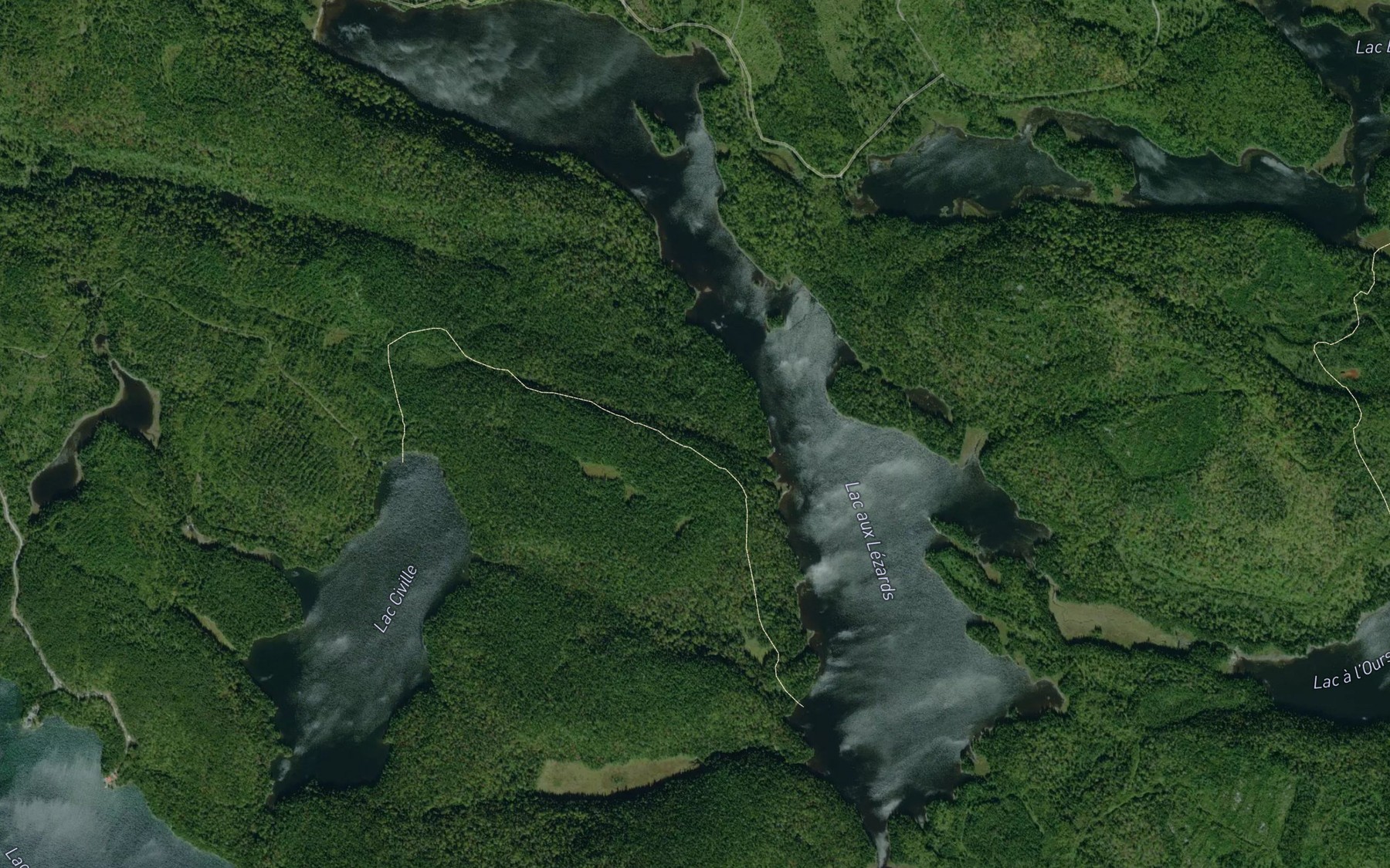 Satellite map of the Lac aux Lezards