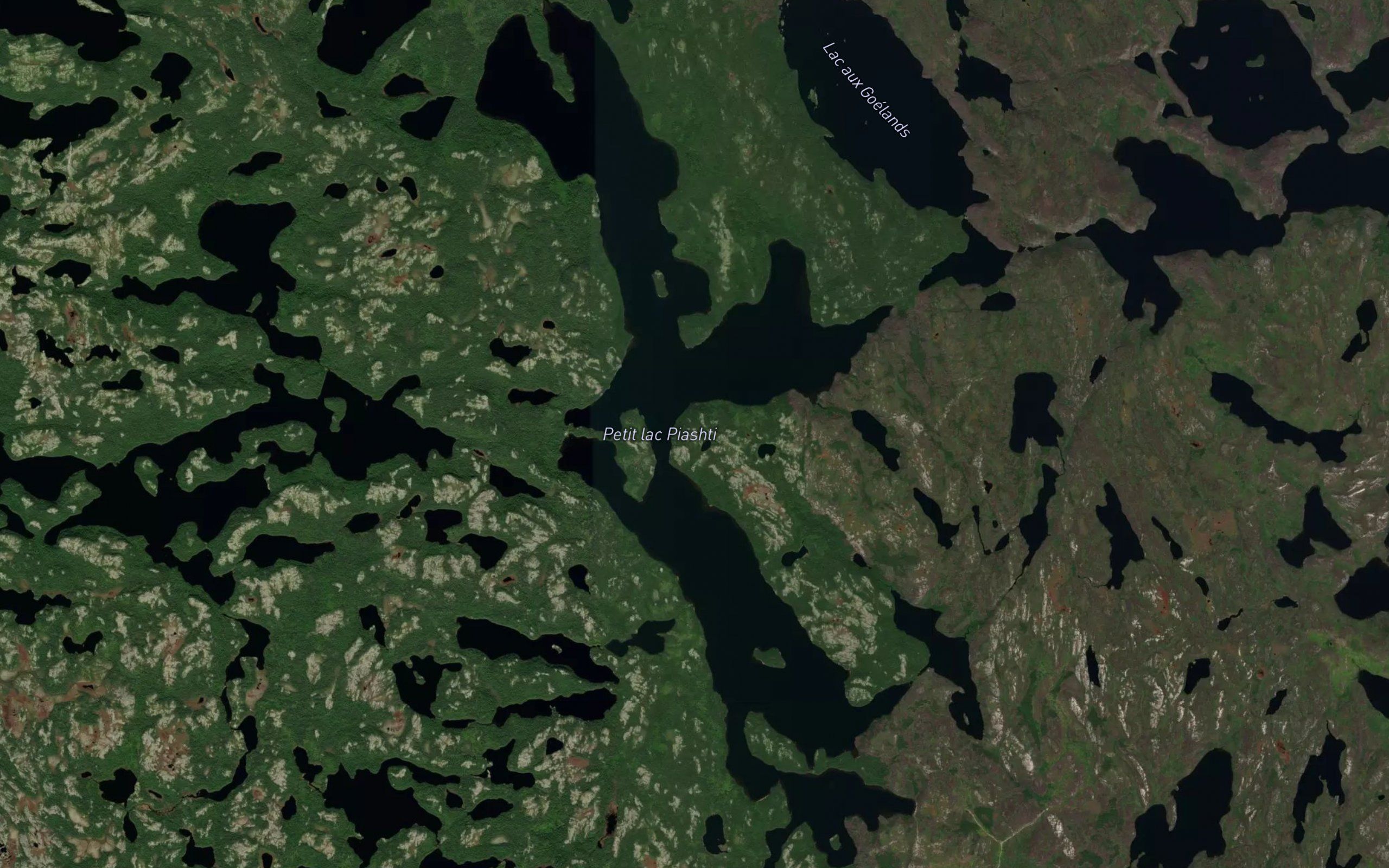 Petit lac Piashti