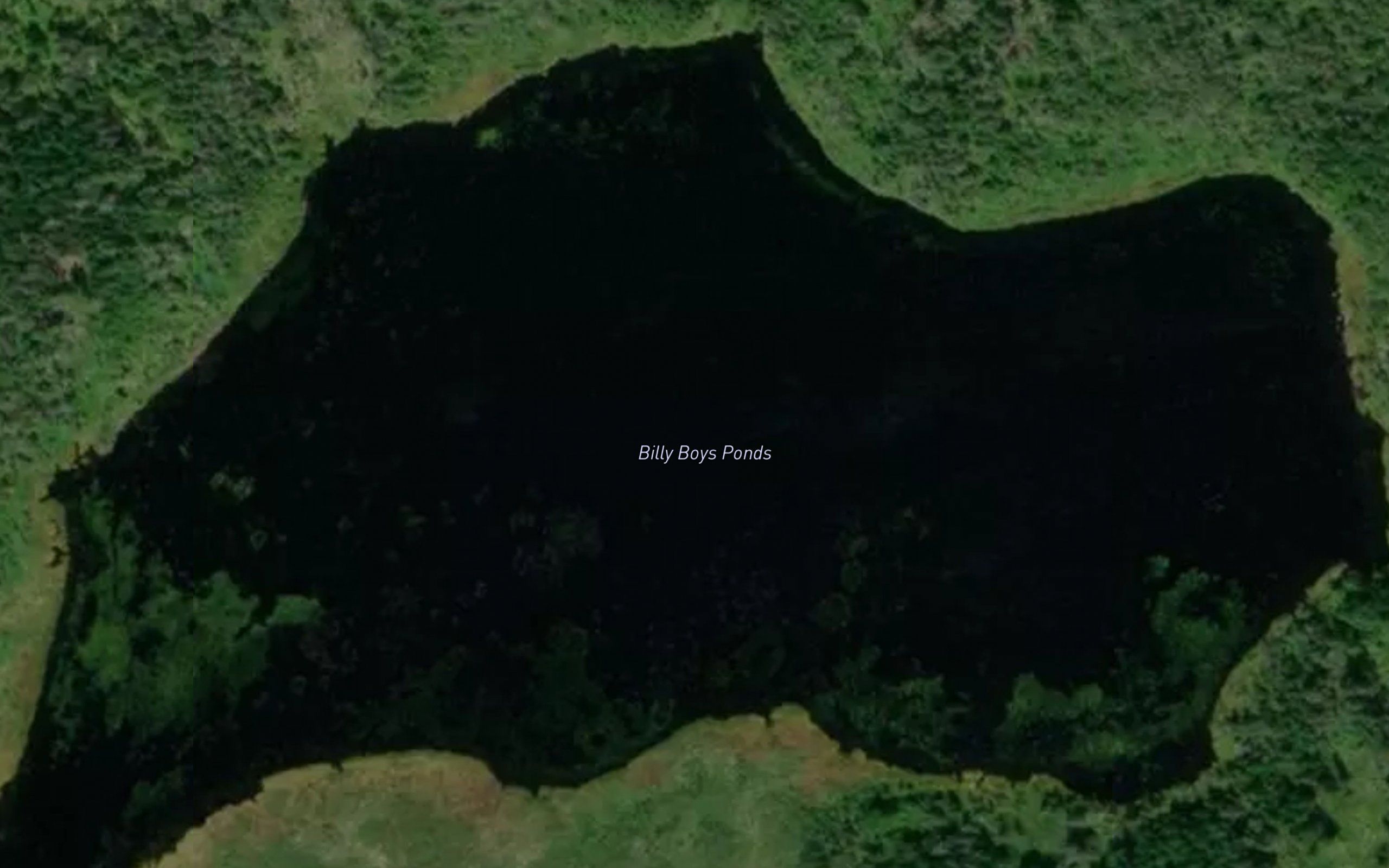 Billy Boys Ponds