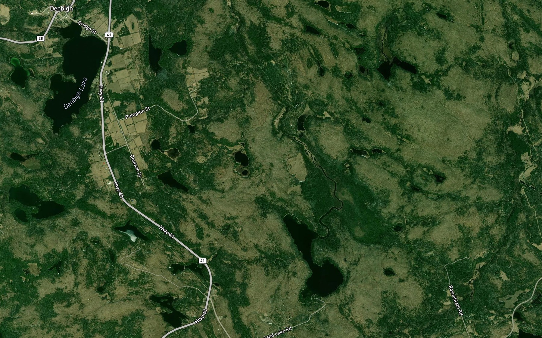 Satellite map of the Rosenblath Lake
