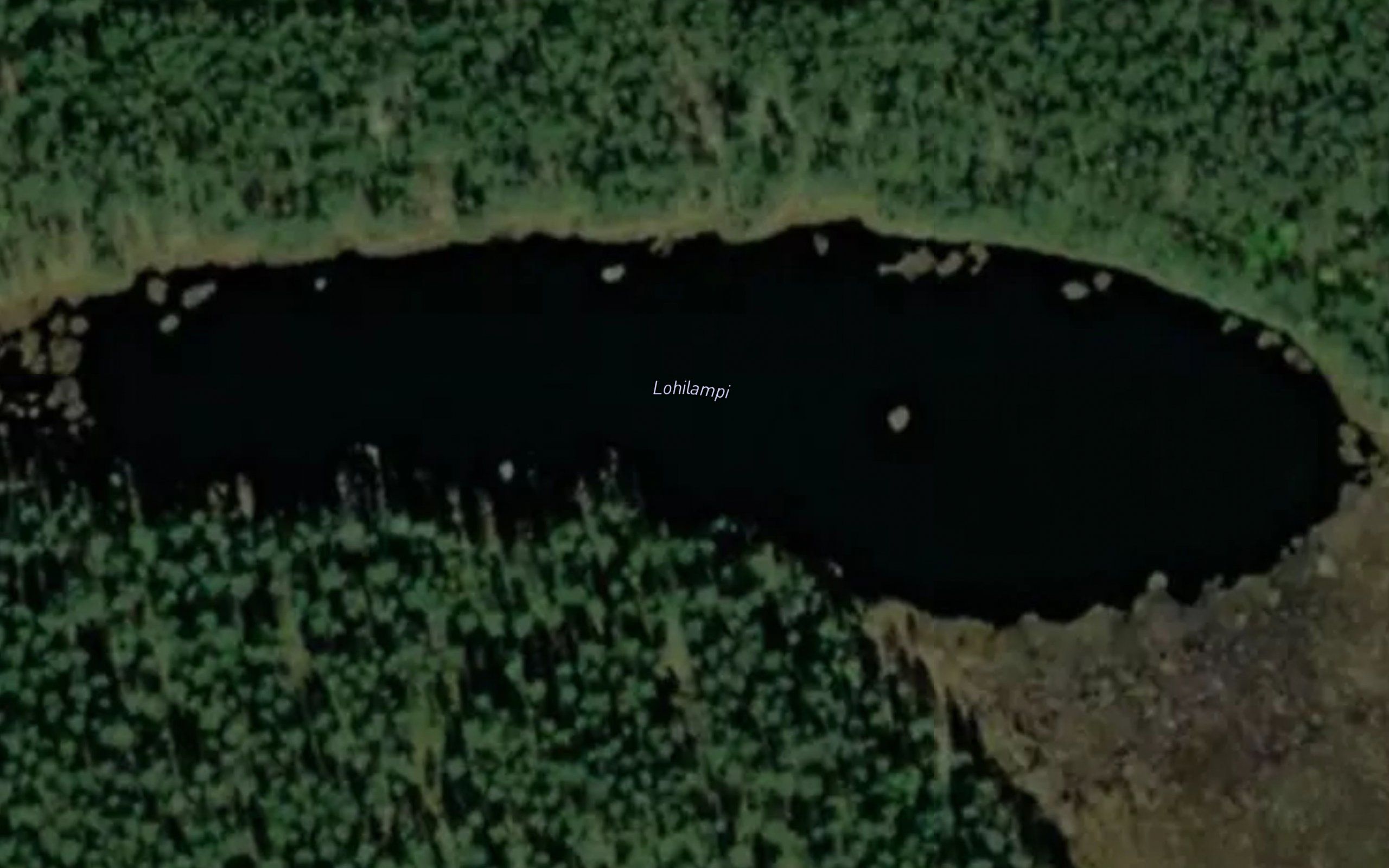 Lohilampi