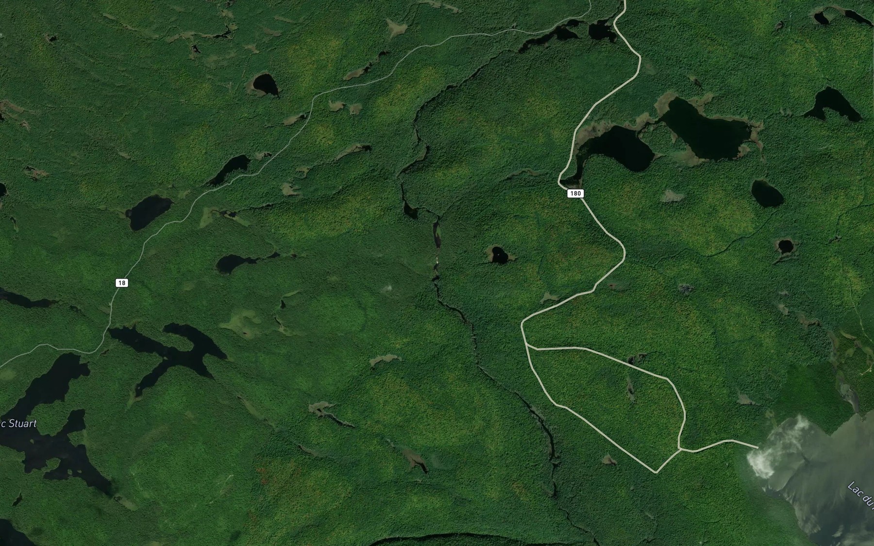 Satellite map of the Lac de la Rapine
