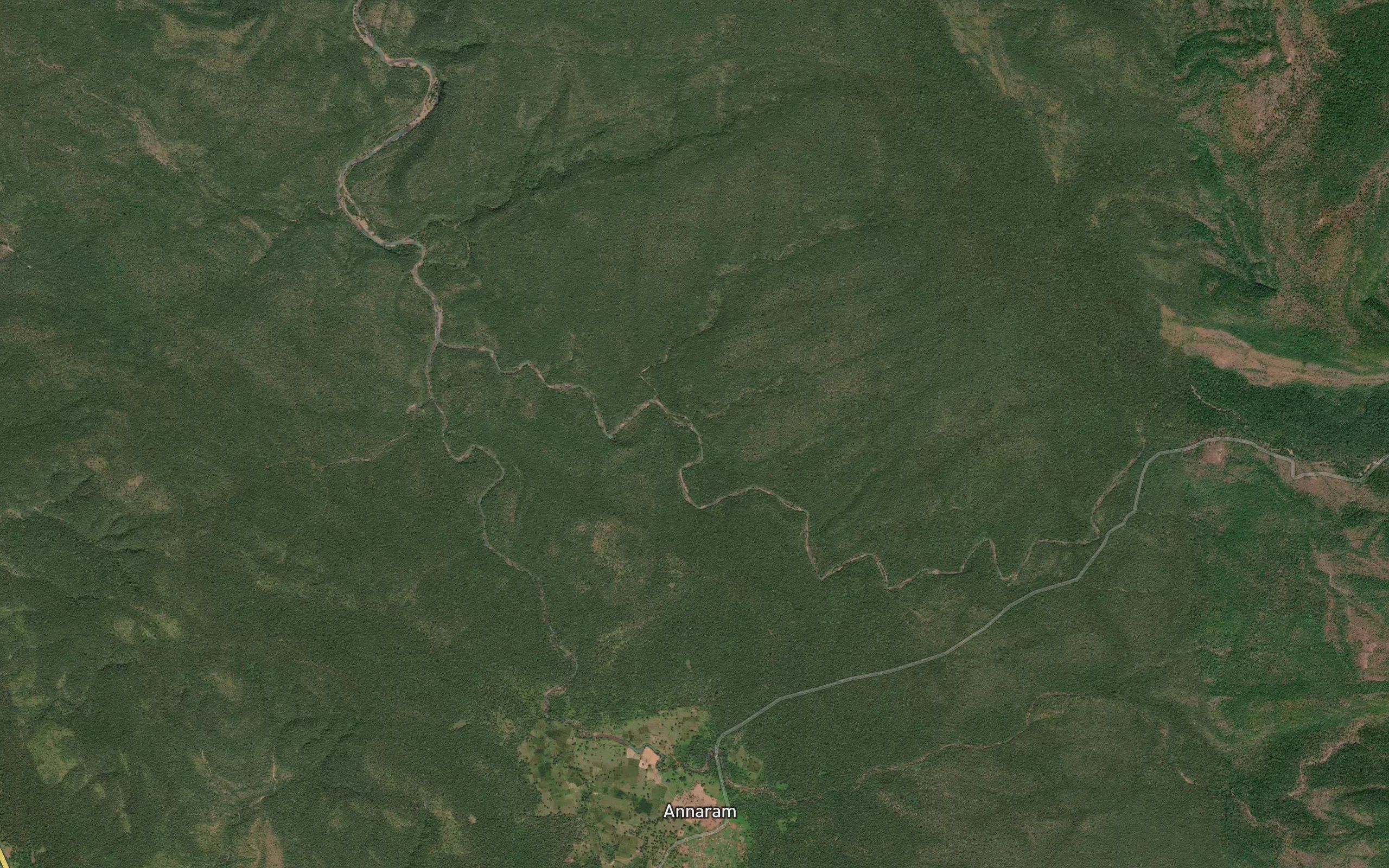 Pedda Vagu