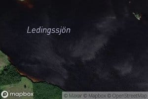 Ledingssjon