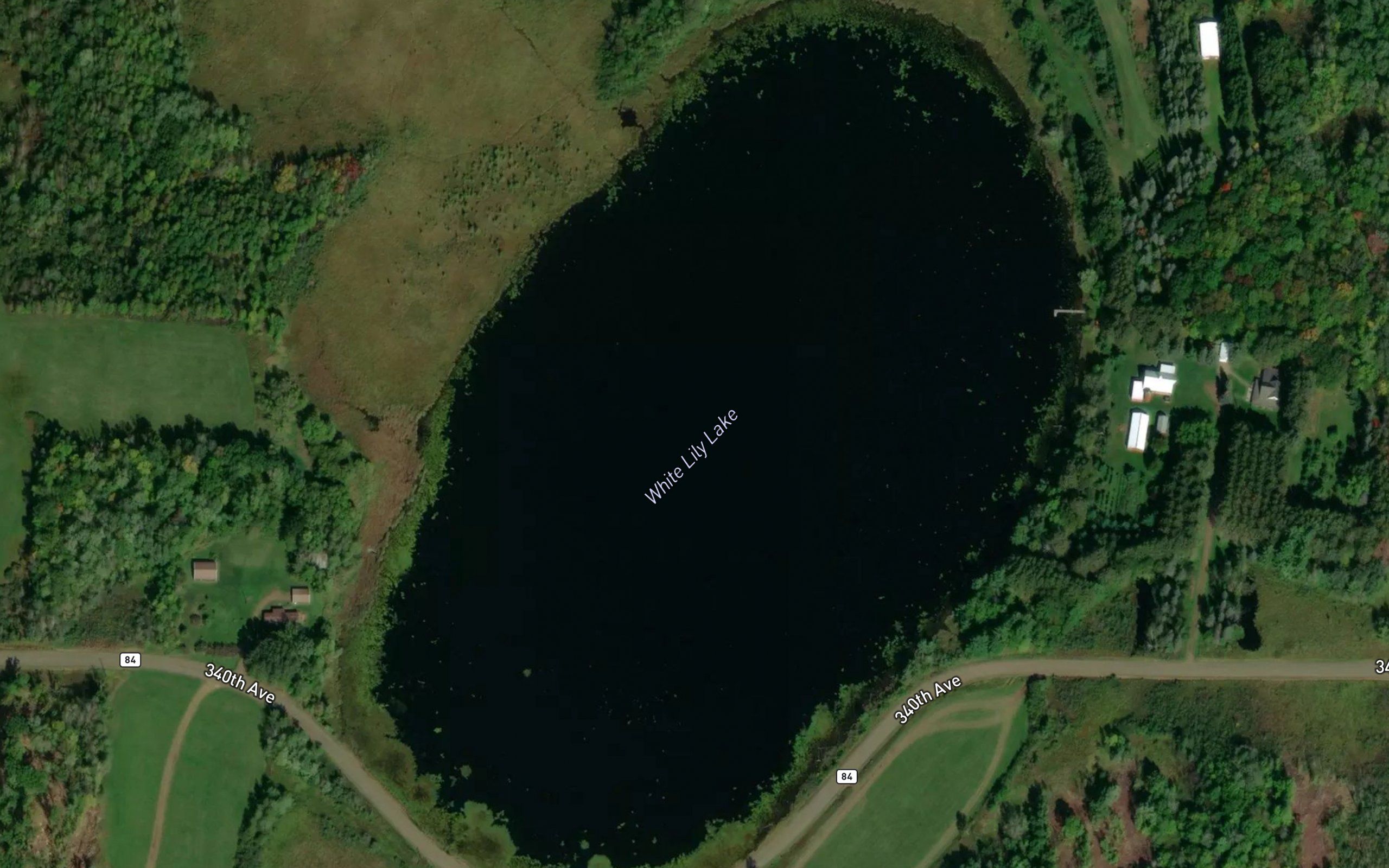 White Lily Lake