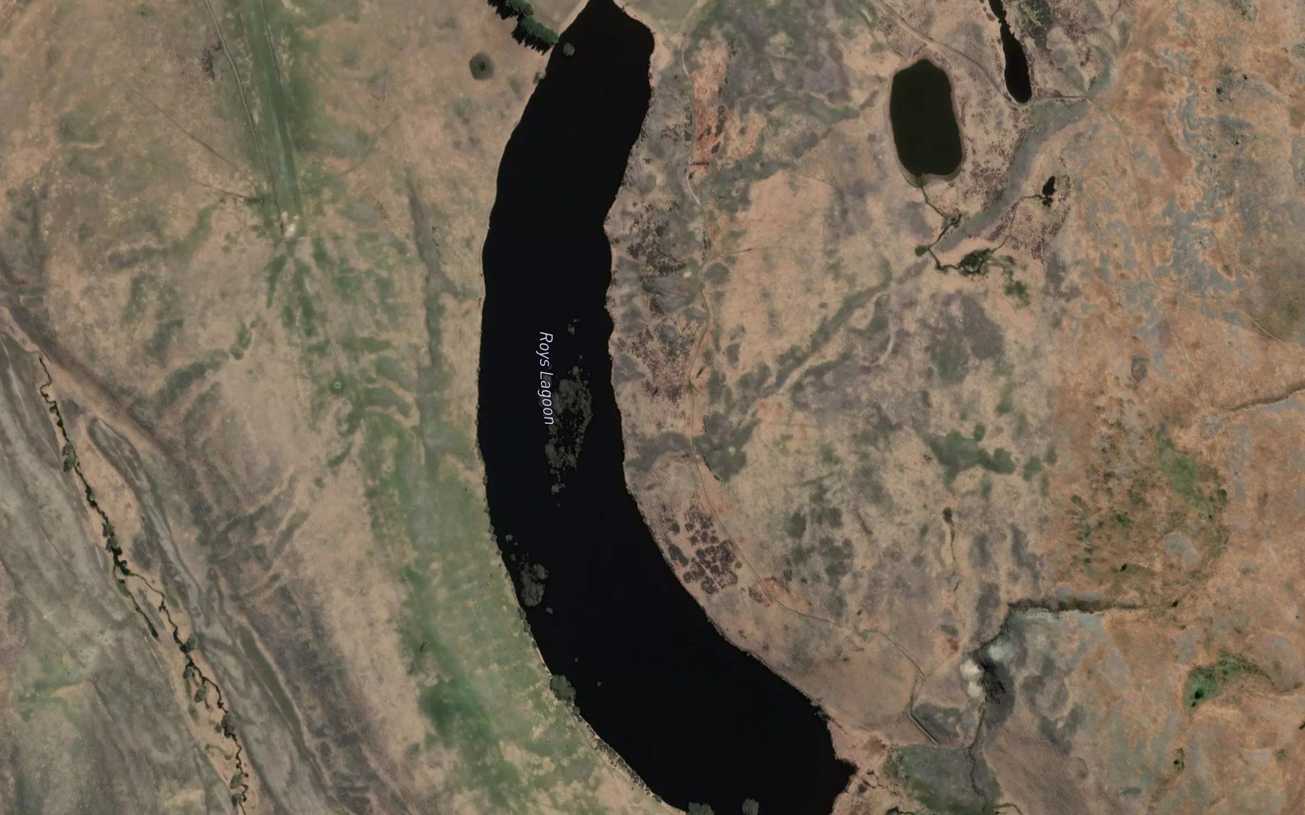 Roys Lagoon