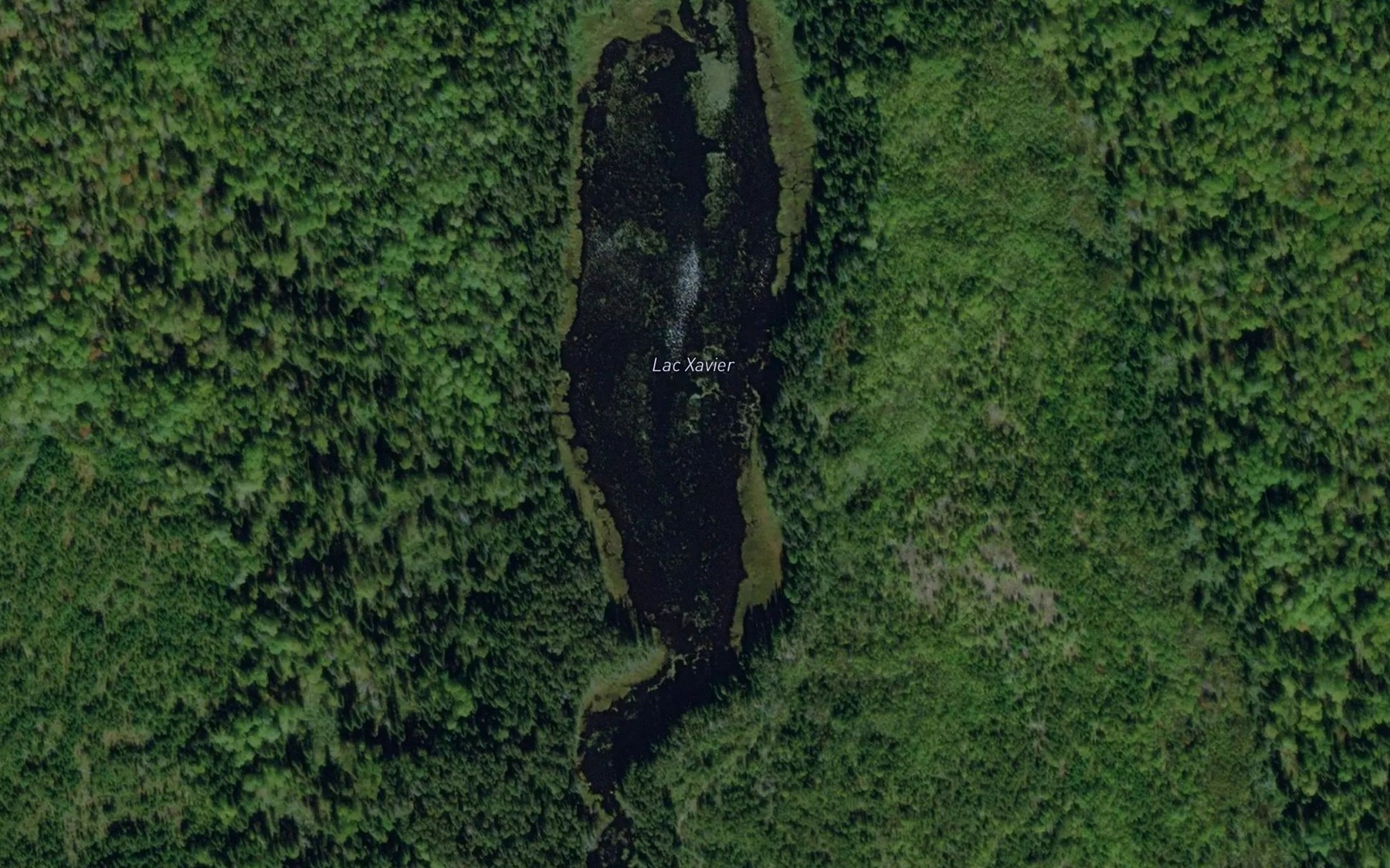 Satellite map of the Lac Xavier
