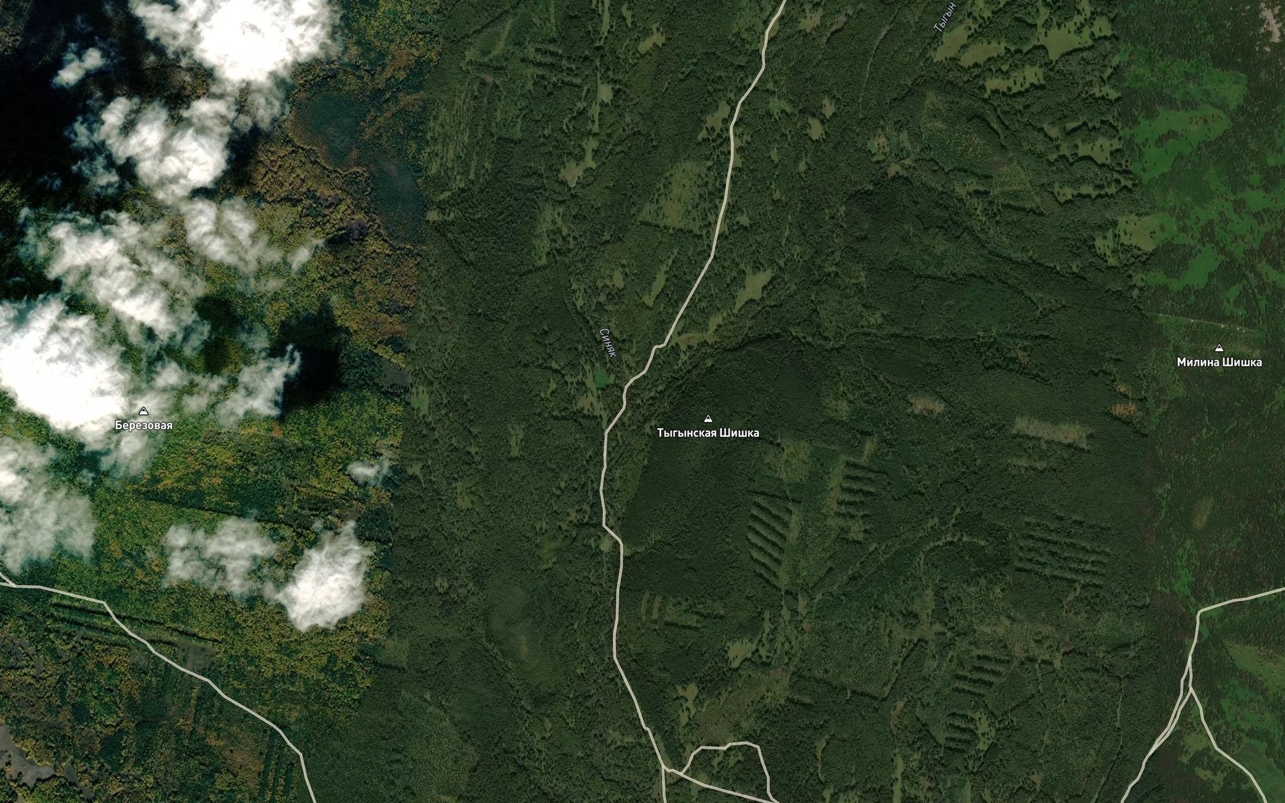 Satellite map of the Sinyak