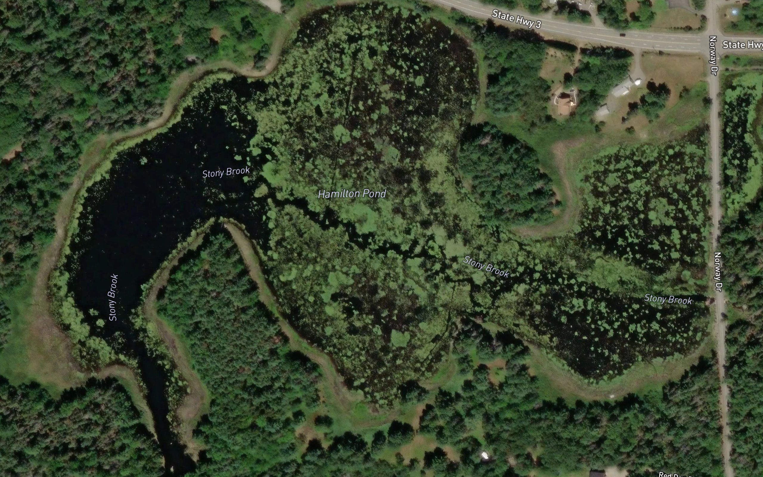 Hamilton Pond