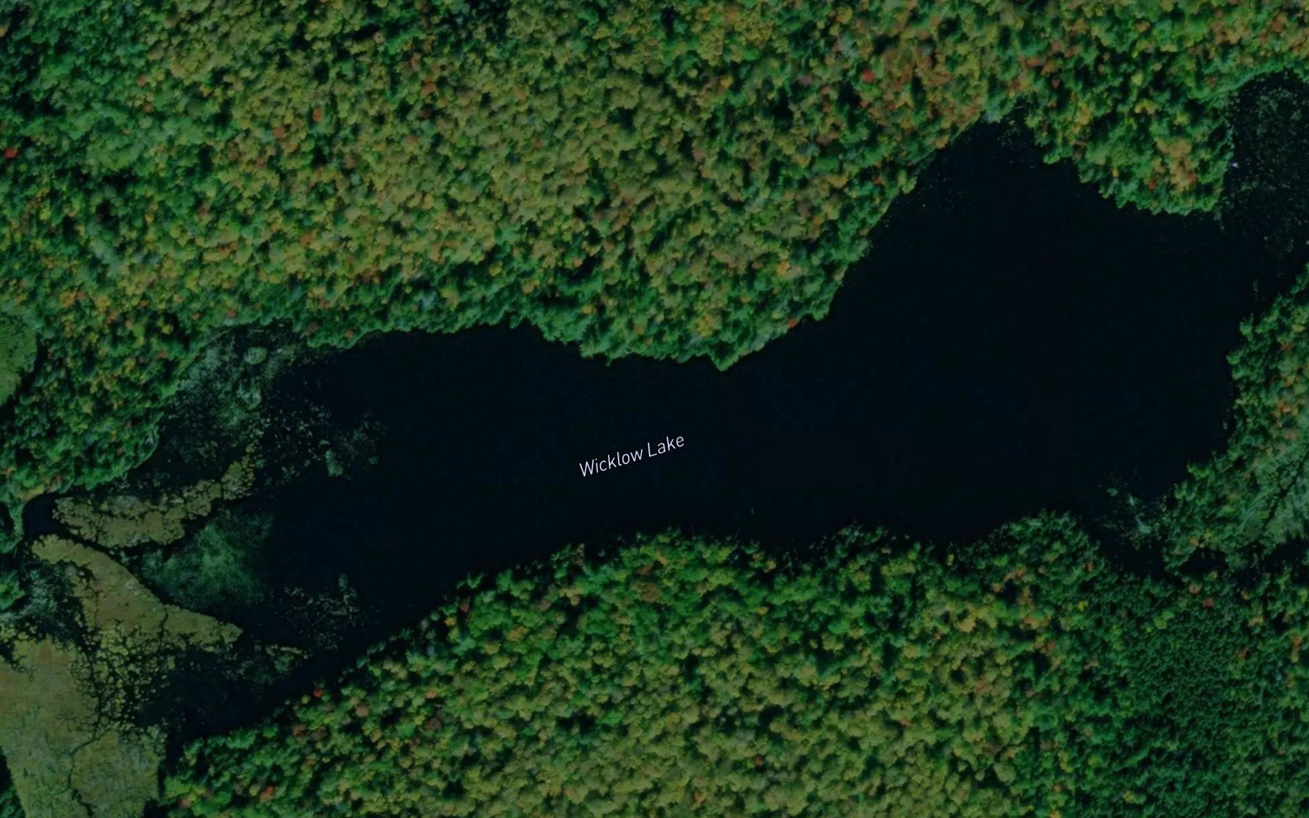 Wicklow Lake