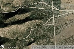 Deer Spring