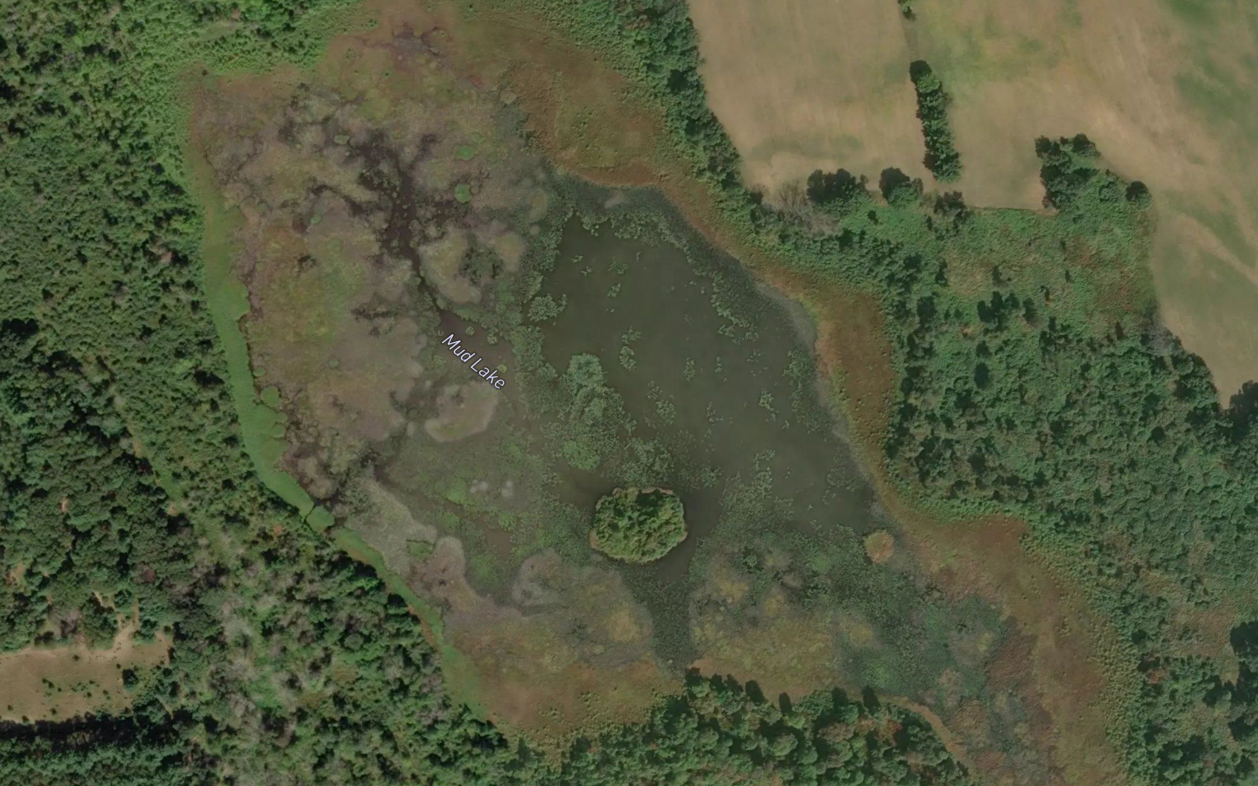 Mud Lake