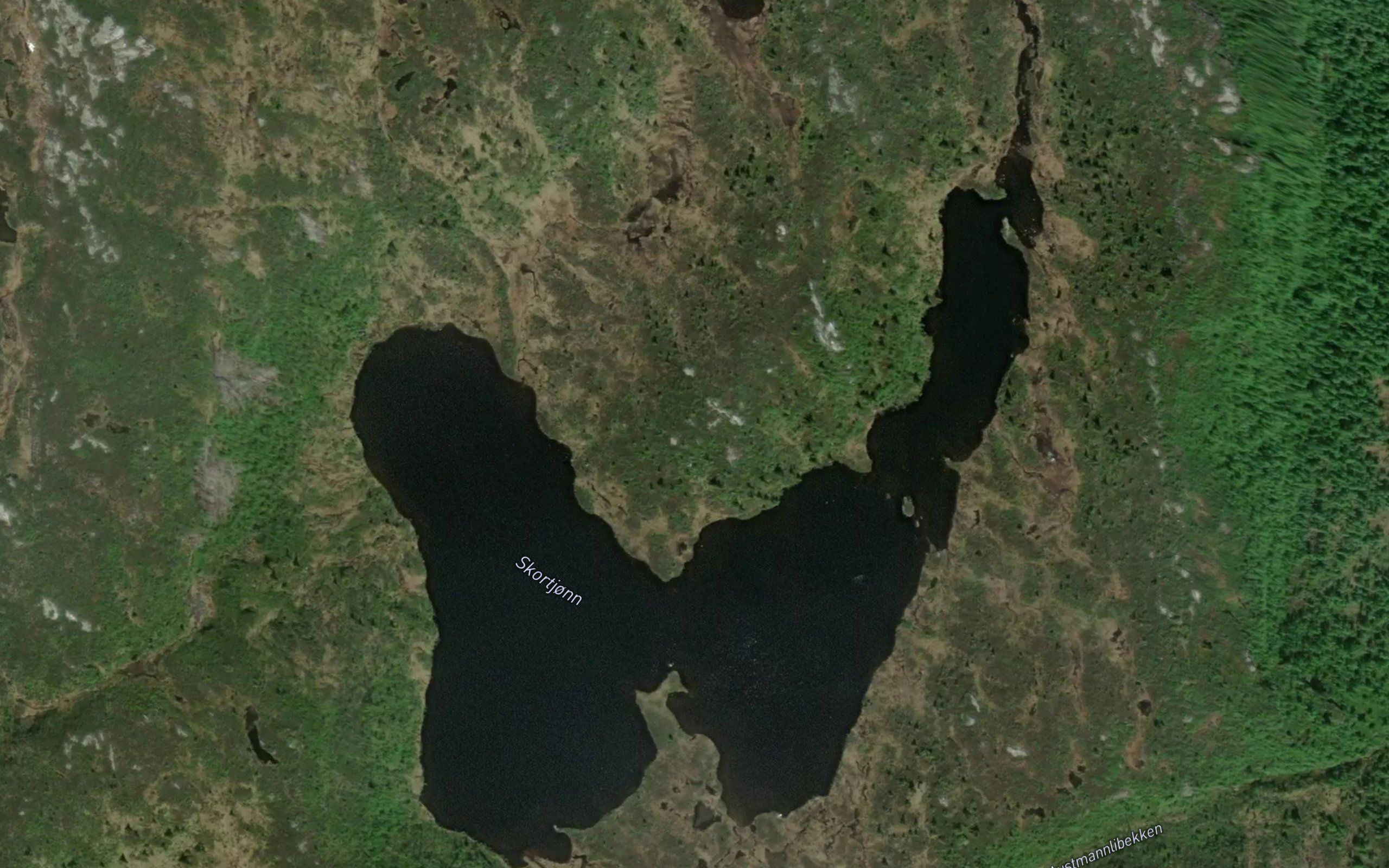 Skortjorn