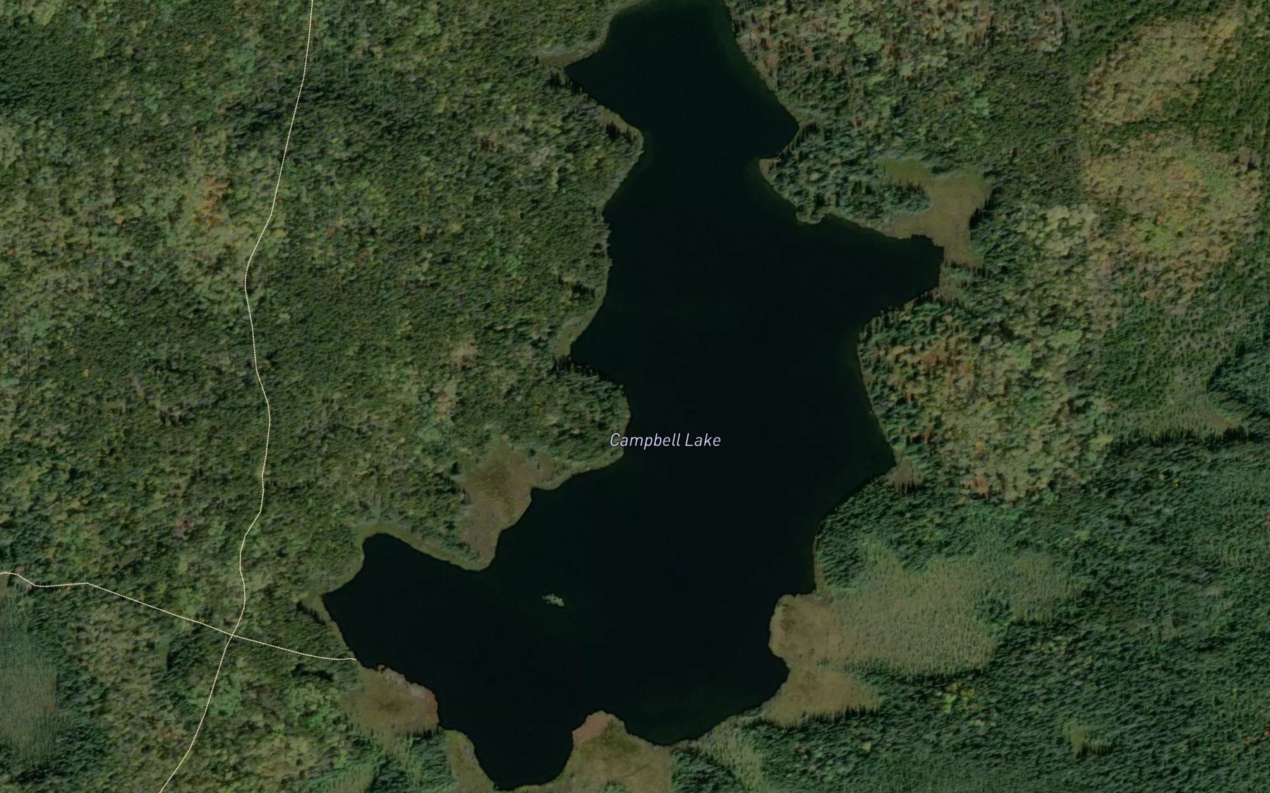 Satellite map of the Campbell Lake
