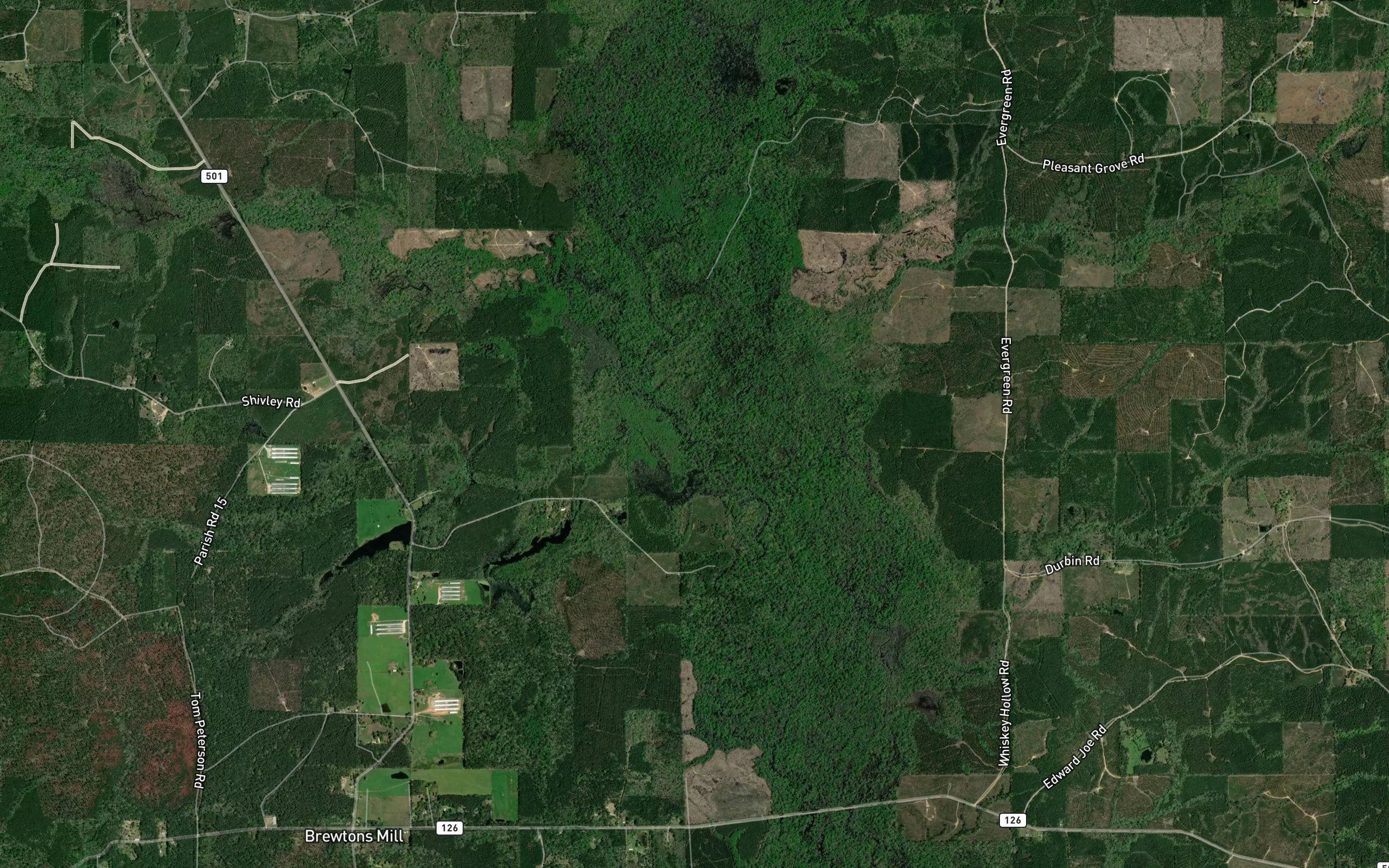 Piney Wood Branch
