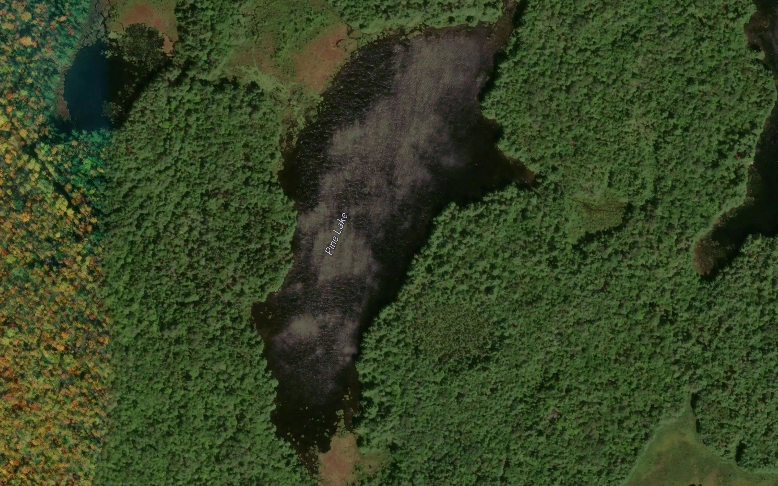 Pine Lake
