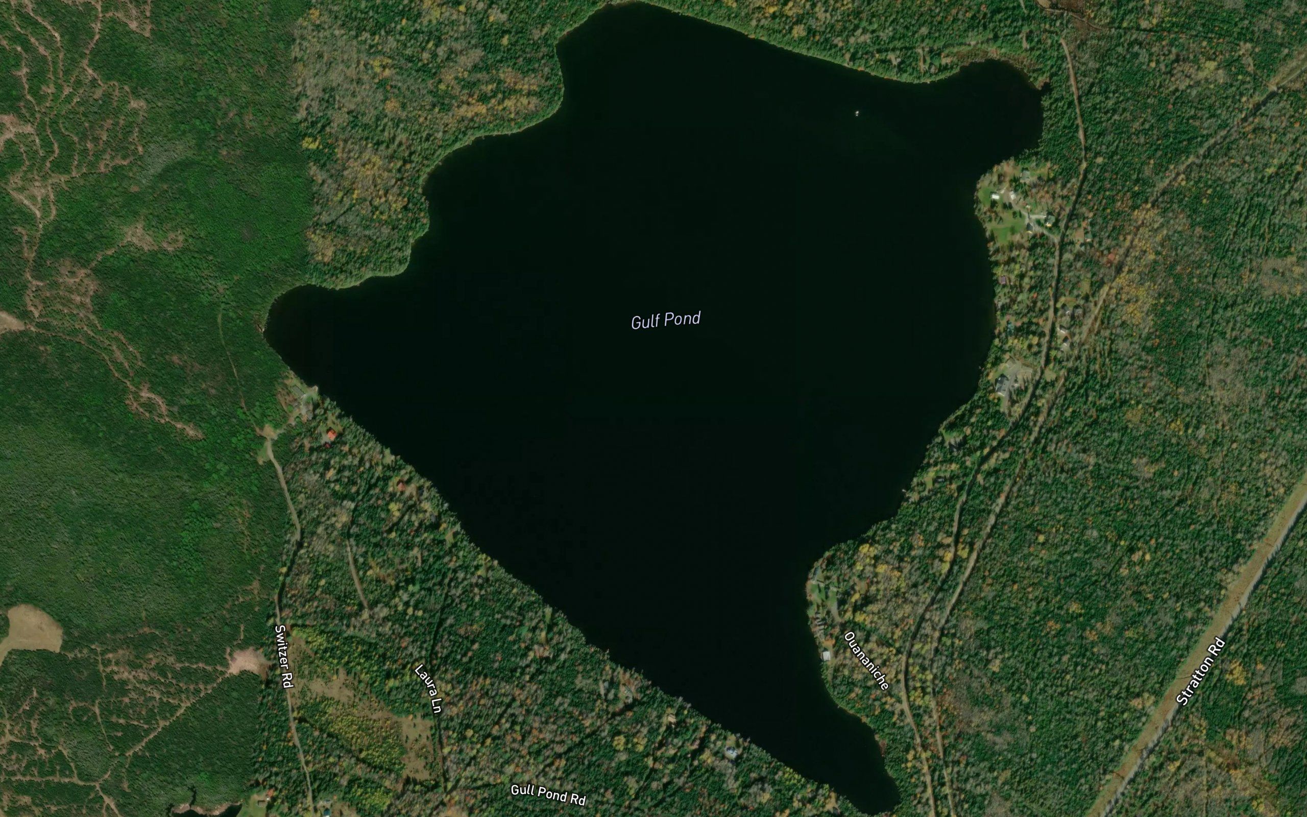 Gull Pond