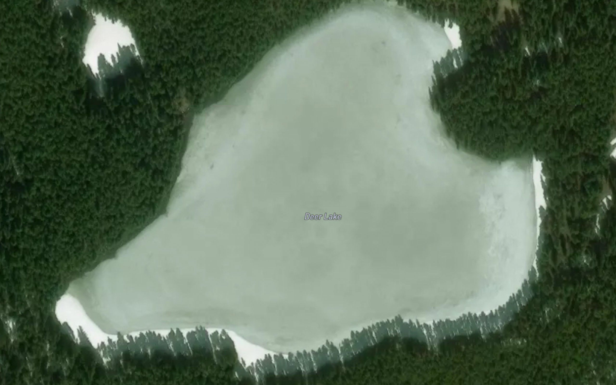 Deer Lake