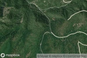 Dog Fork