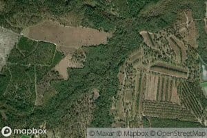 Mineral Spring Branch