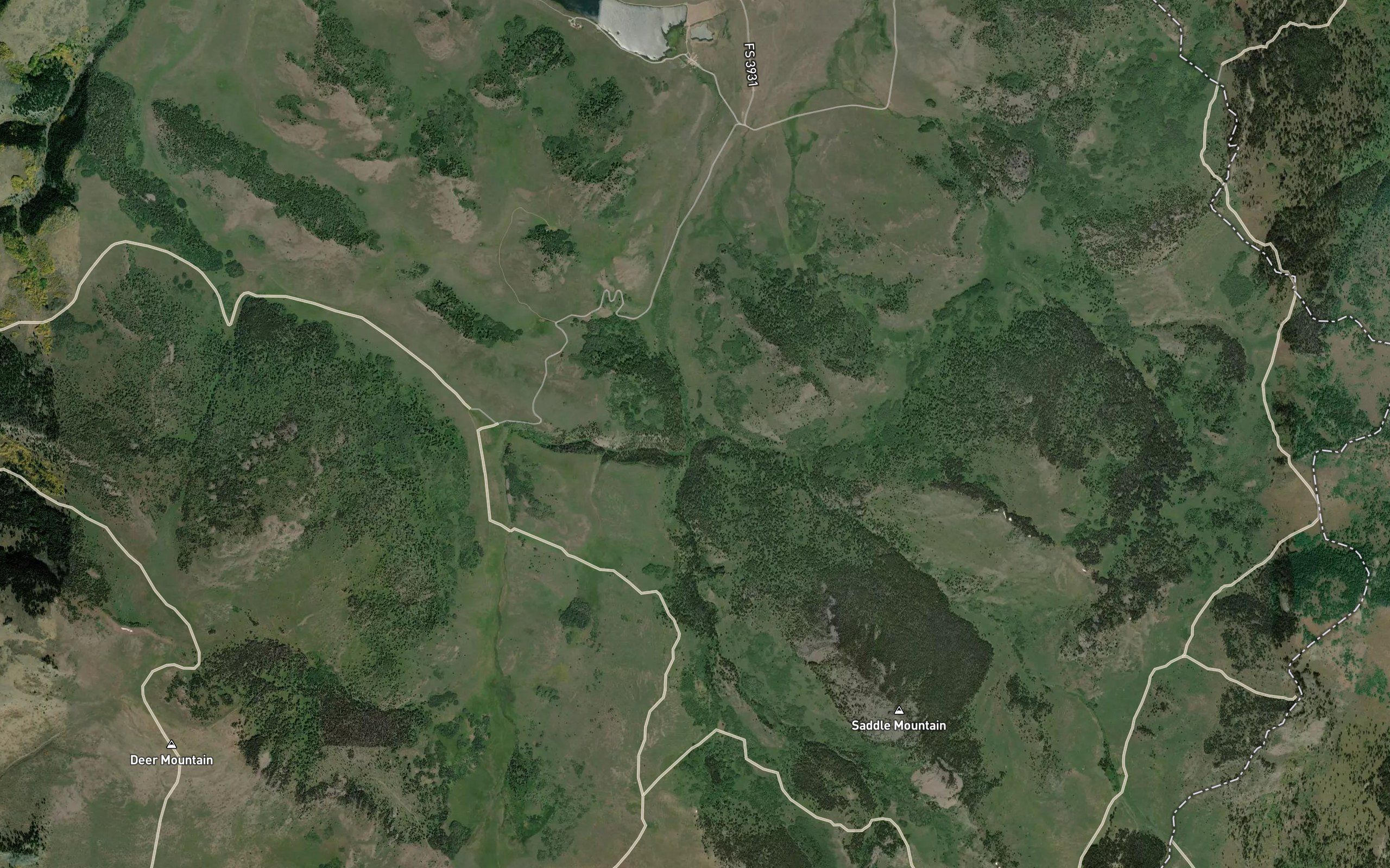 Lone Tree Creek