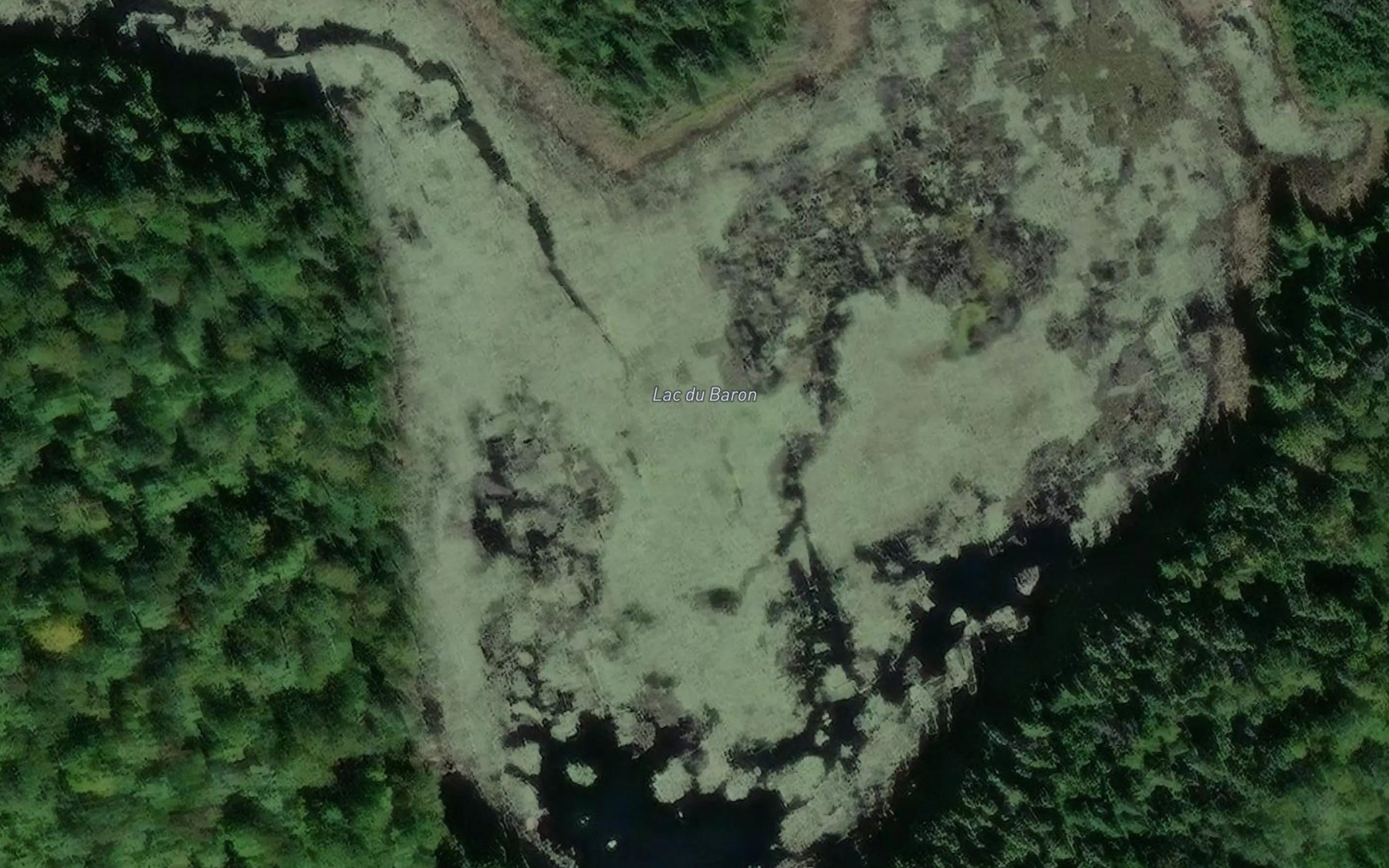 Satellite map of the Lac du Baron