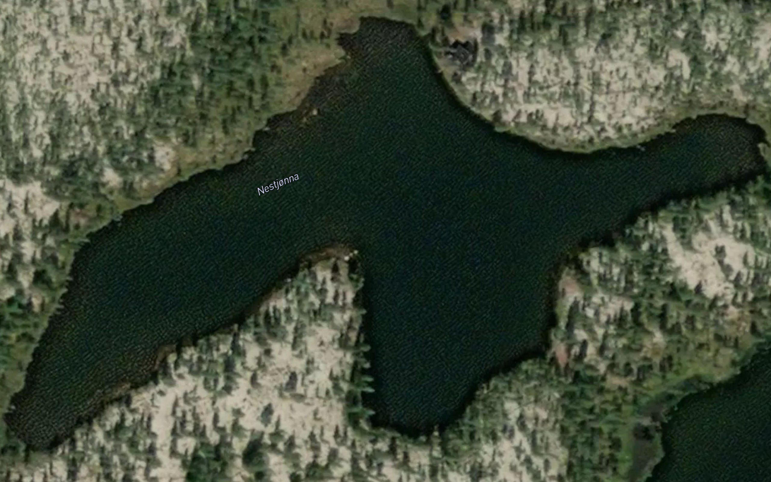 Nestjonna