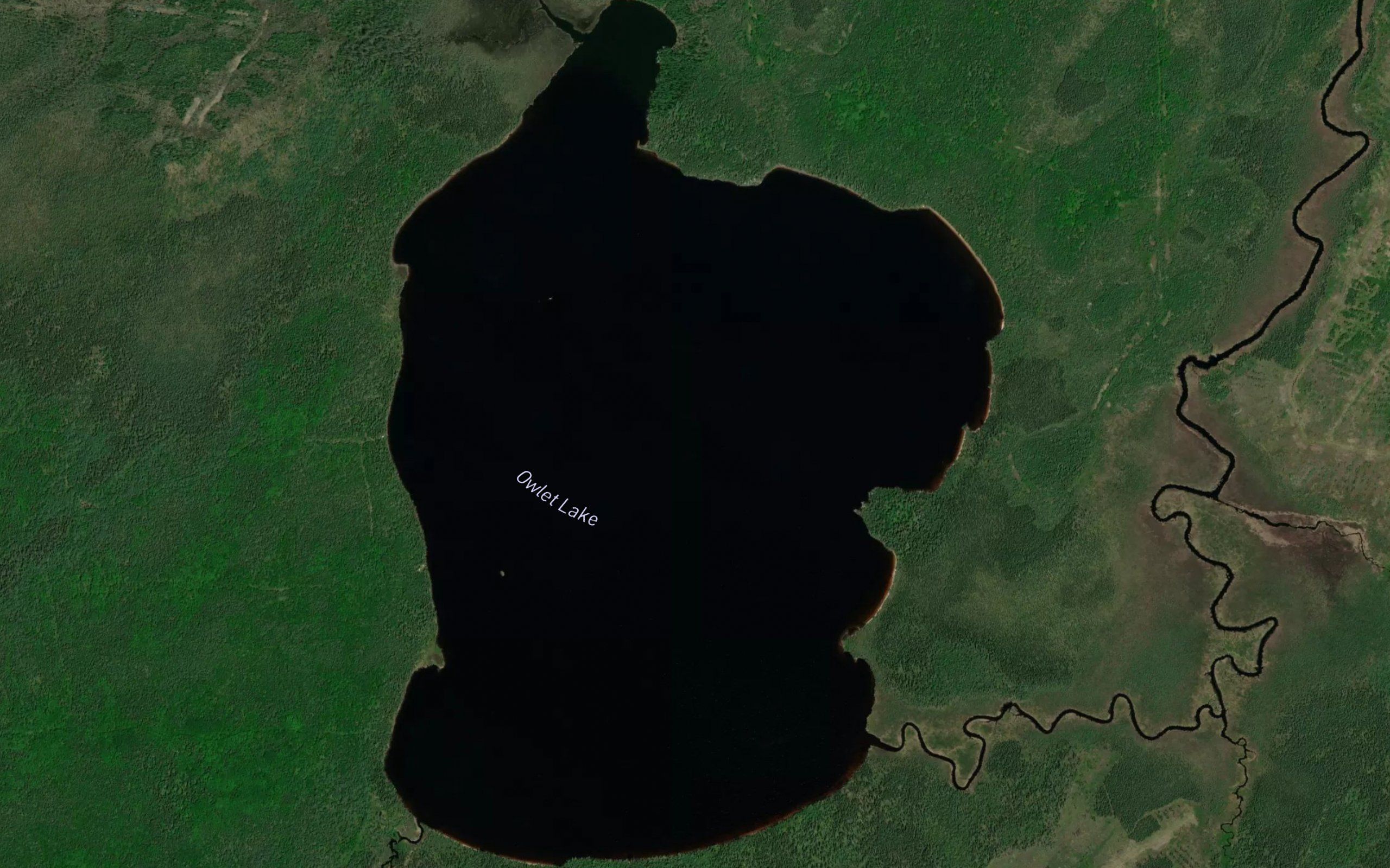 Owlet Lake