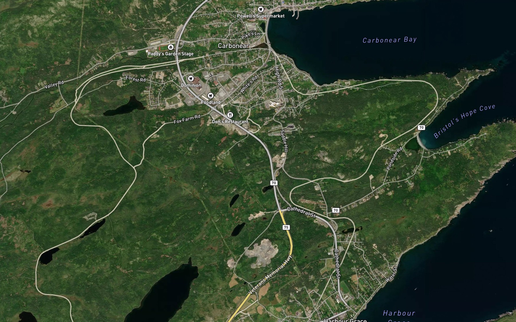 Satellite map of the Hoskins Pond