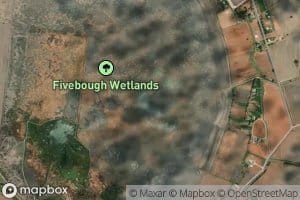 Fivebough Swamp