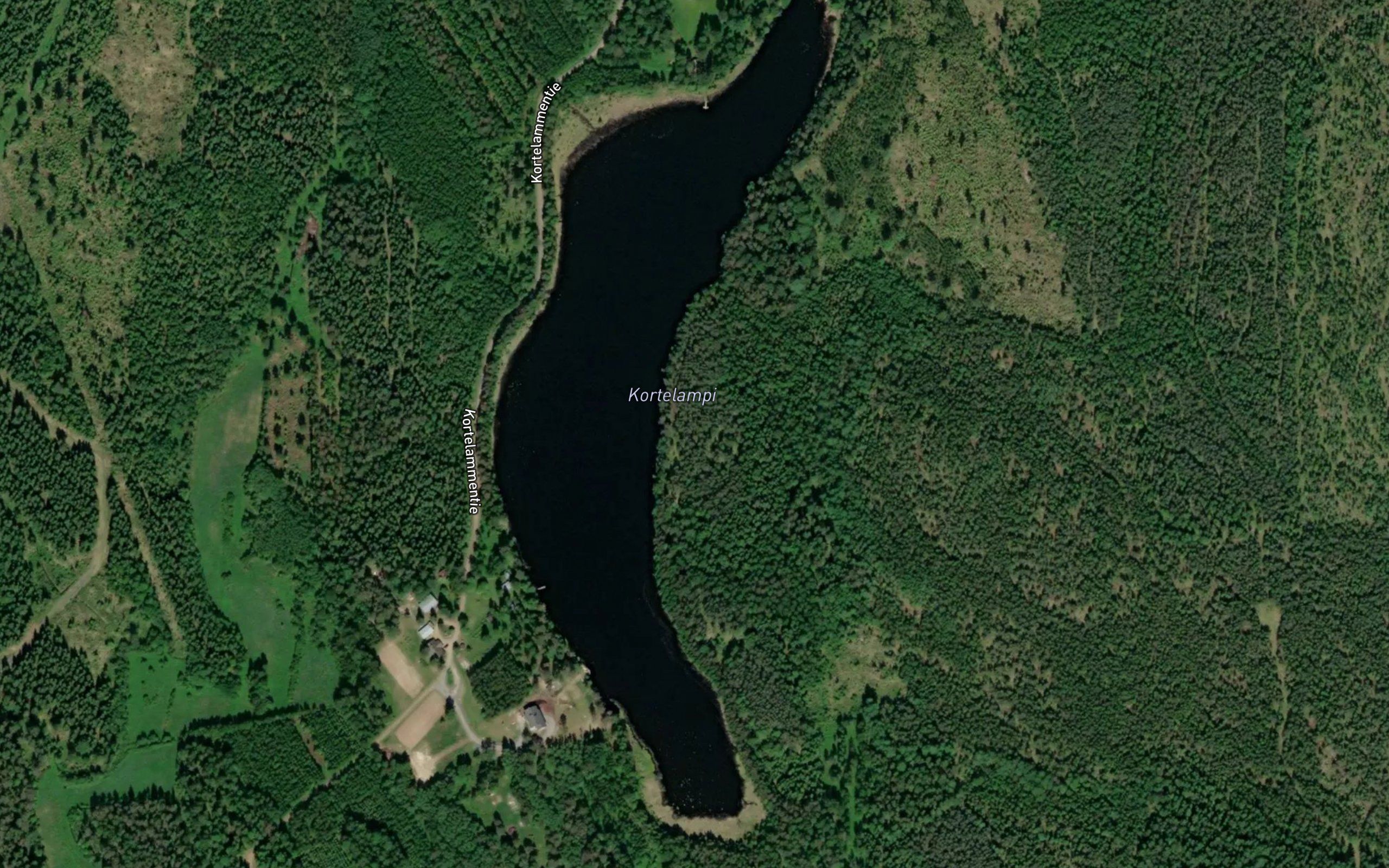 Kortelampi