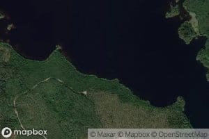 Salonalainen