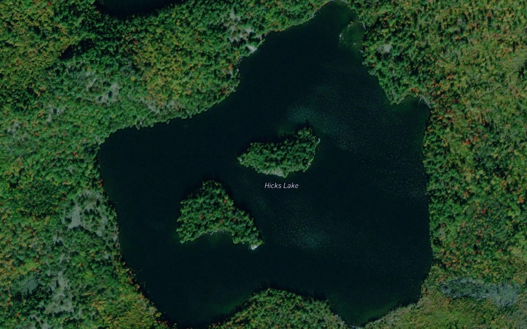 Satellite map of the Hicks Lake