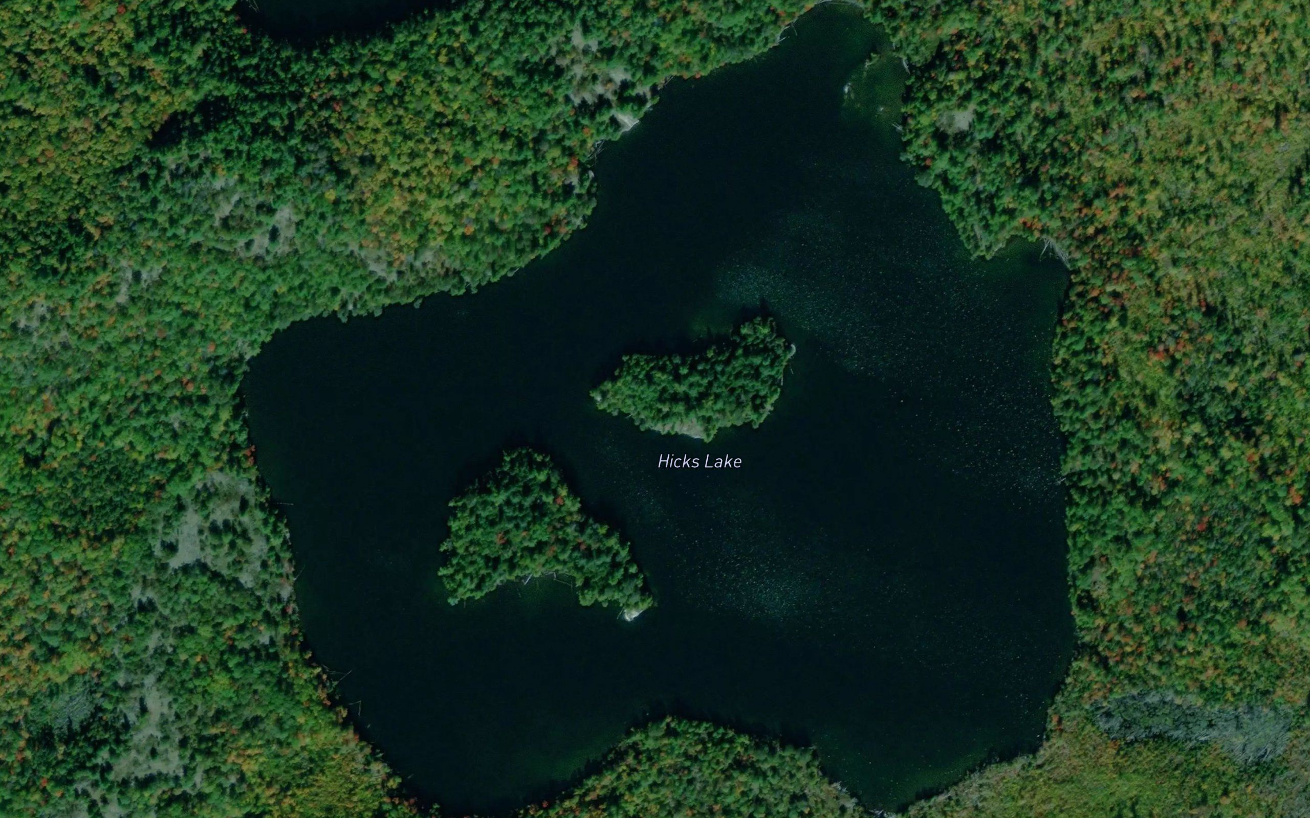 Hicks Lake