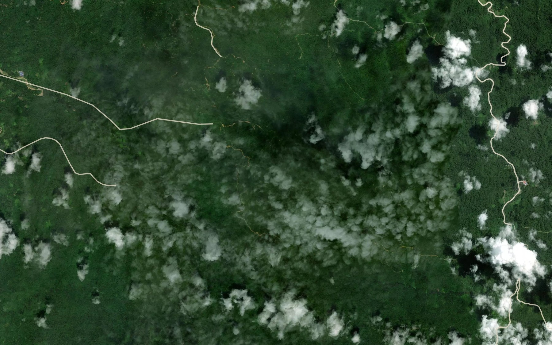 Satellite map of the Sungai Pedalai
