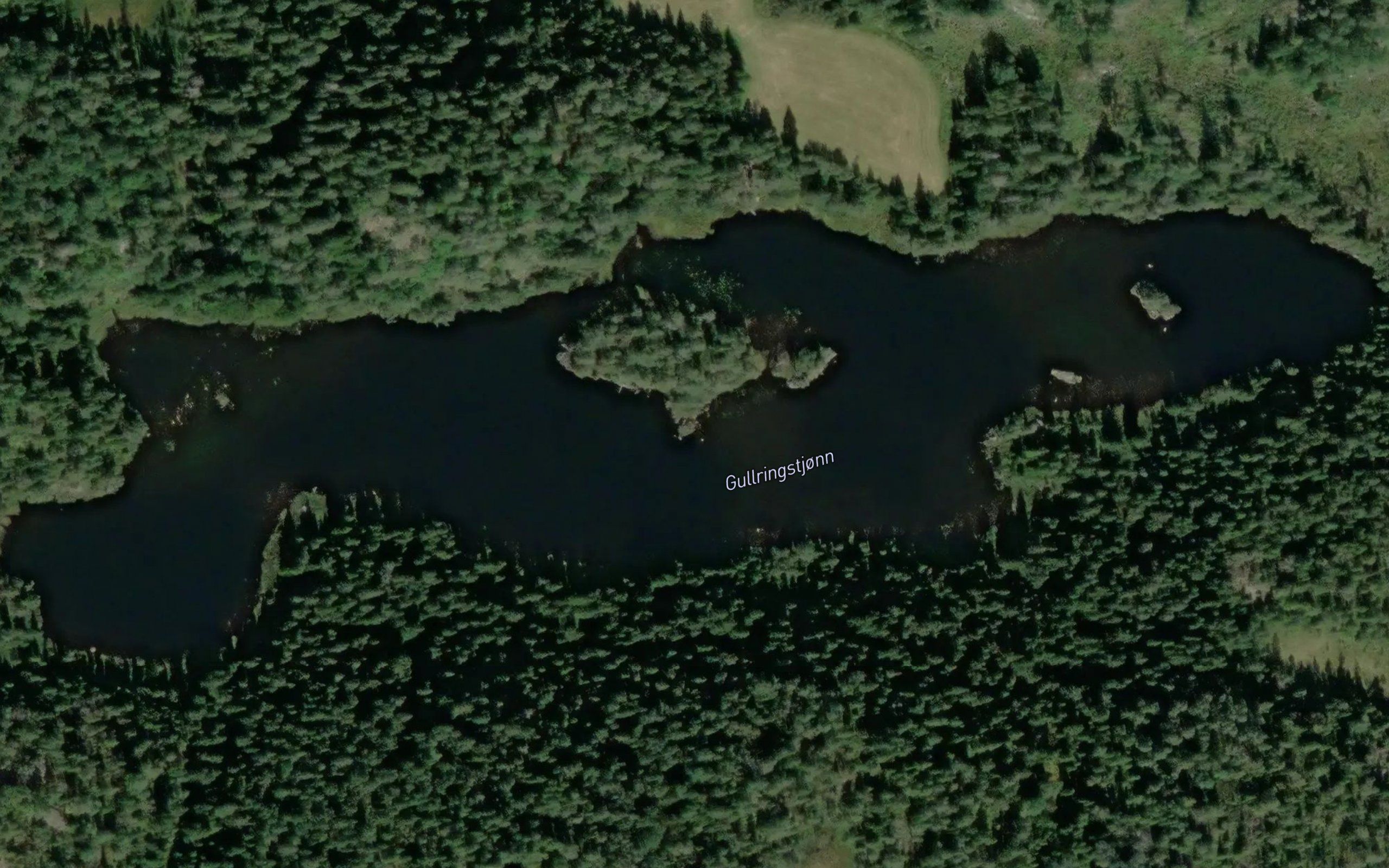 Gullringstjorna