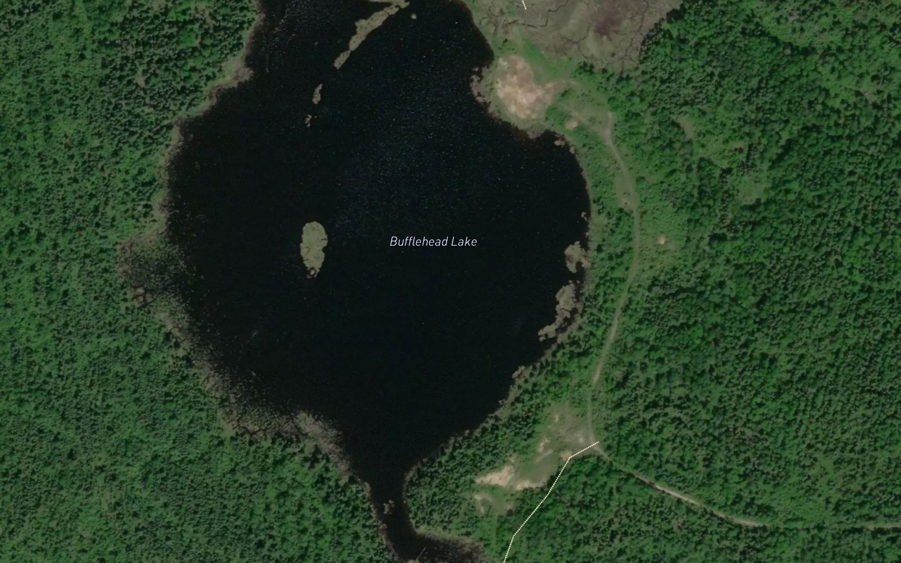 Satellite map of the Bufflehead Lake