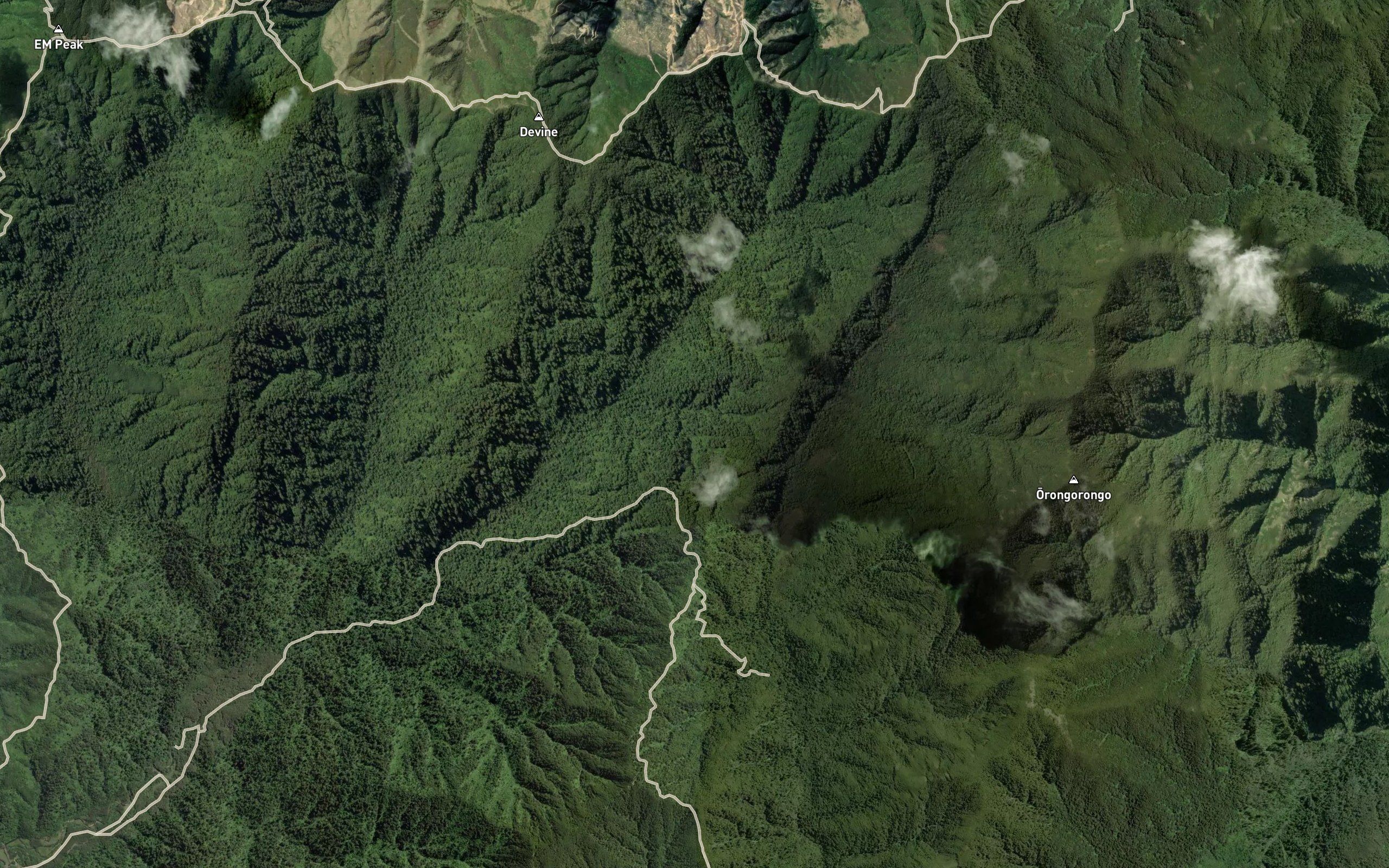 Orongorongo River