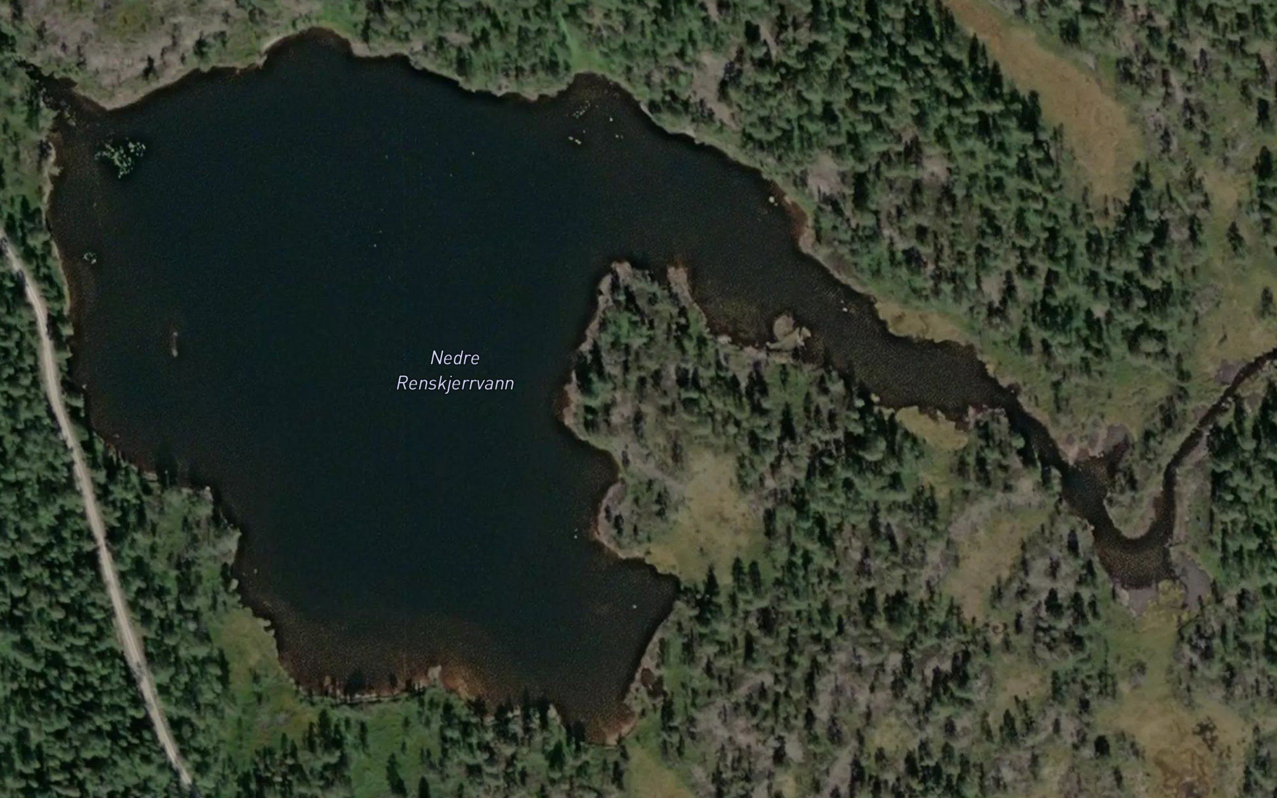 Nedre Renskjerrvann