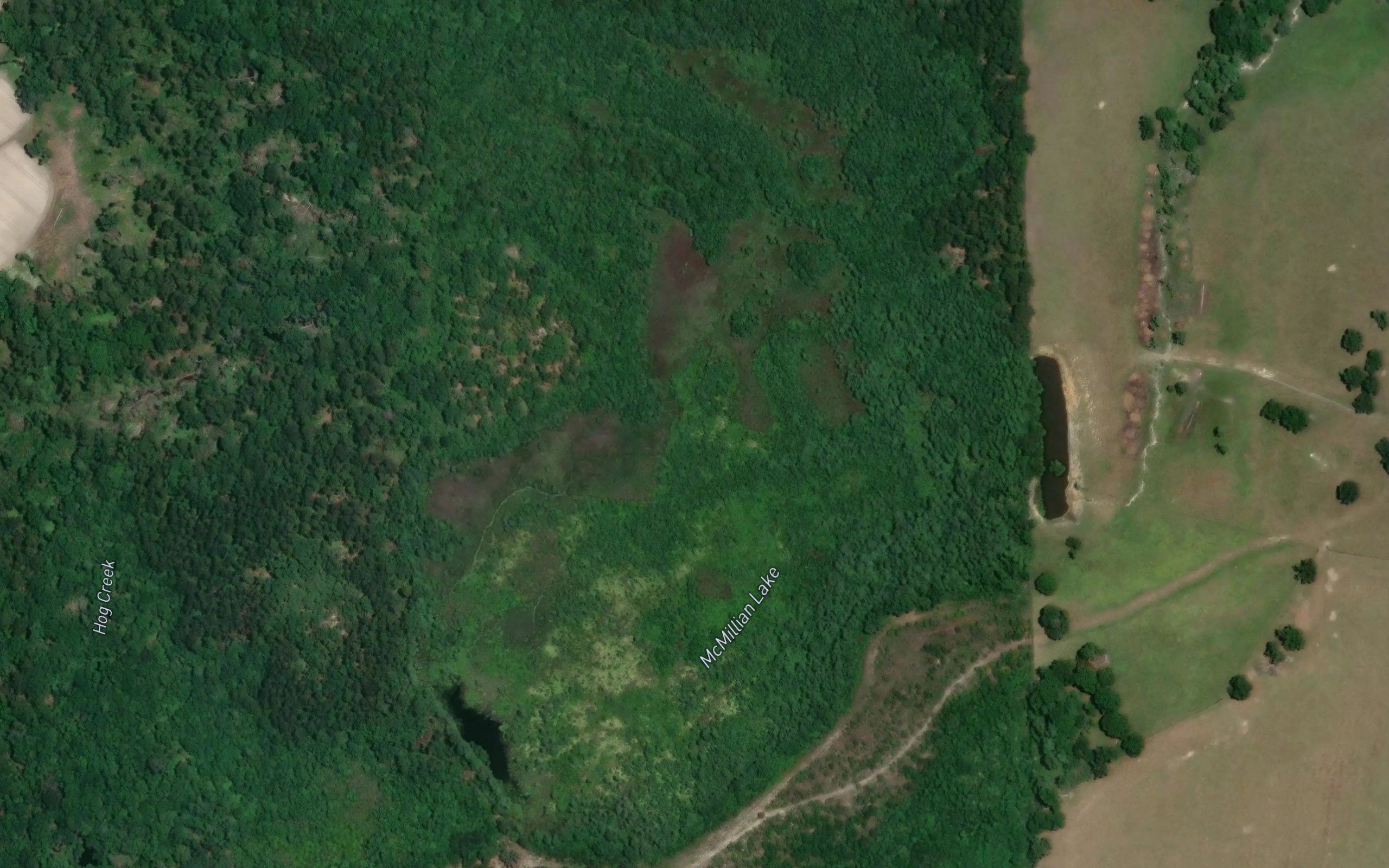McMillian Lake