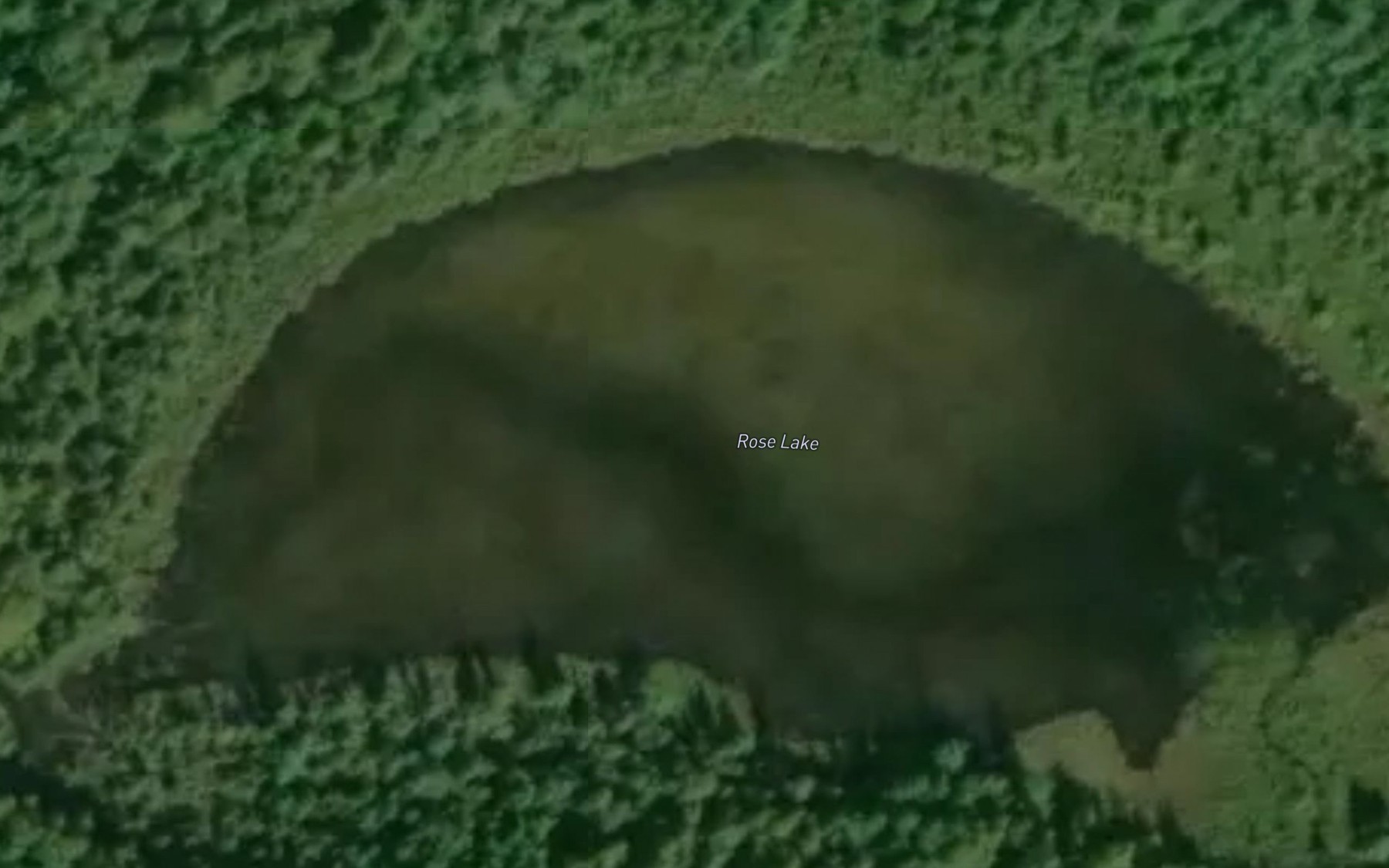 Satellite map of the Rose Lake