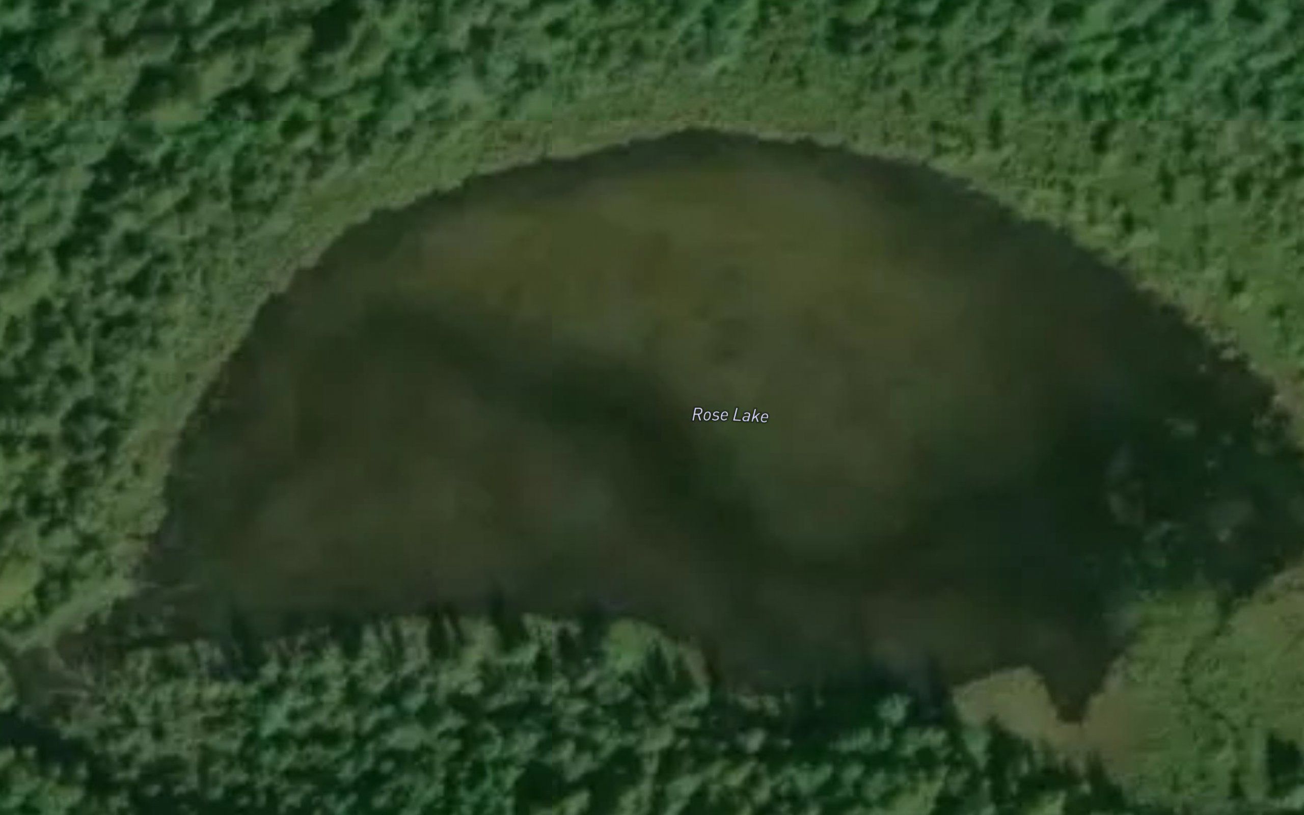 Rose Lake