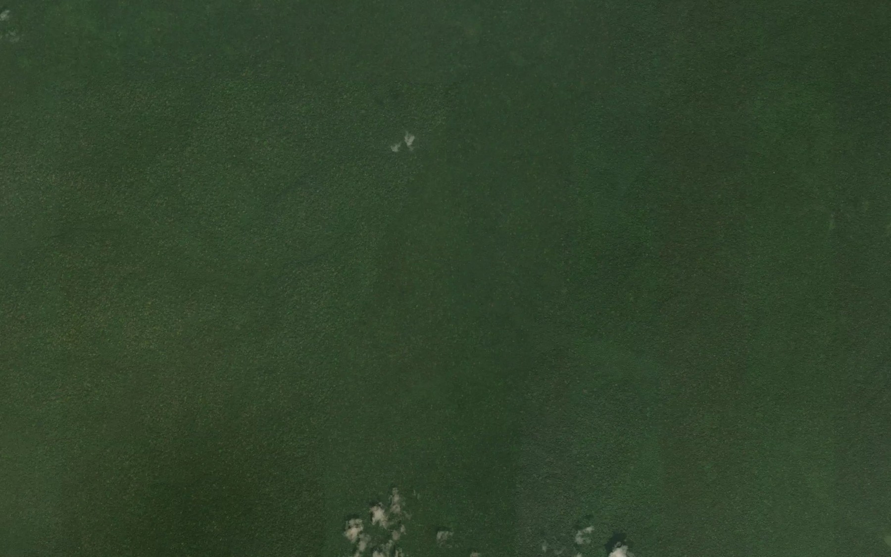 Satellite map of the Magongolo