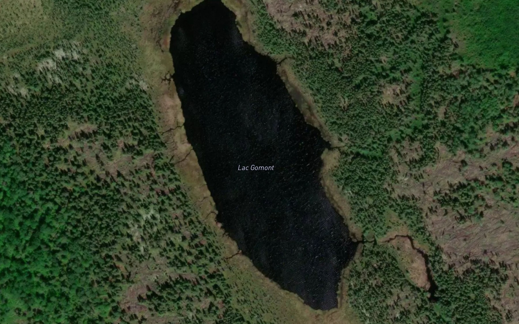 Satellite map of the Lac Gomont