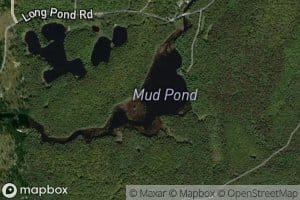 Mud Pond