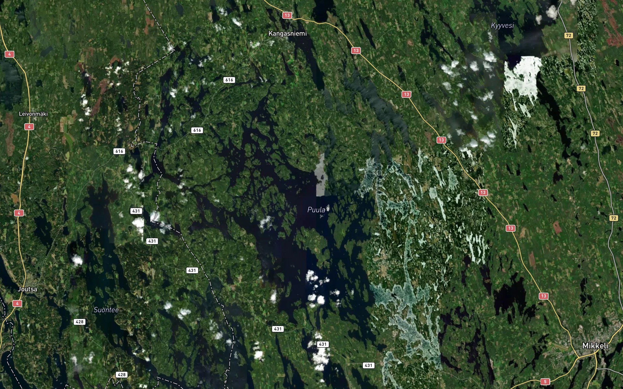 Simpianselka