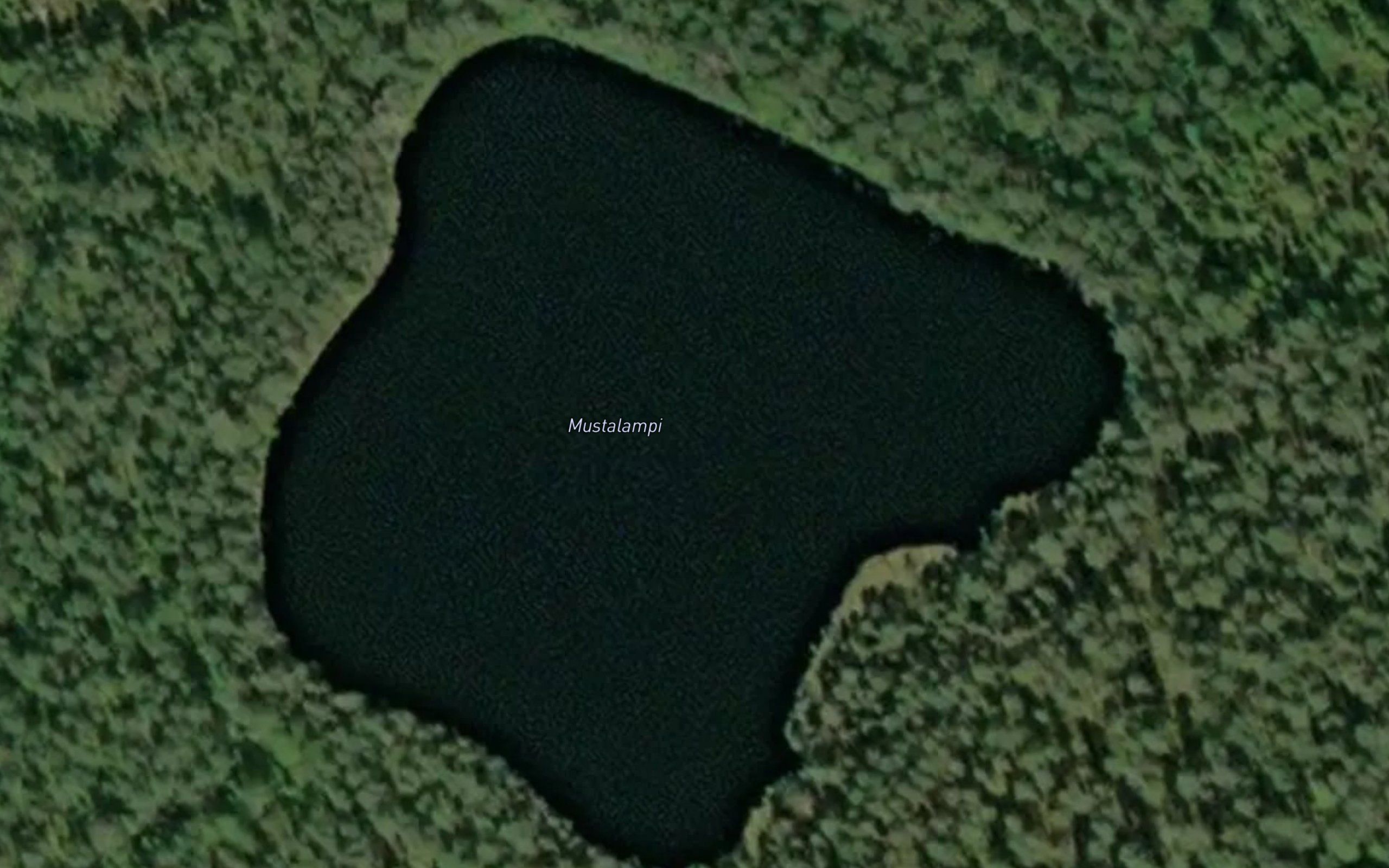 Mustalampi