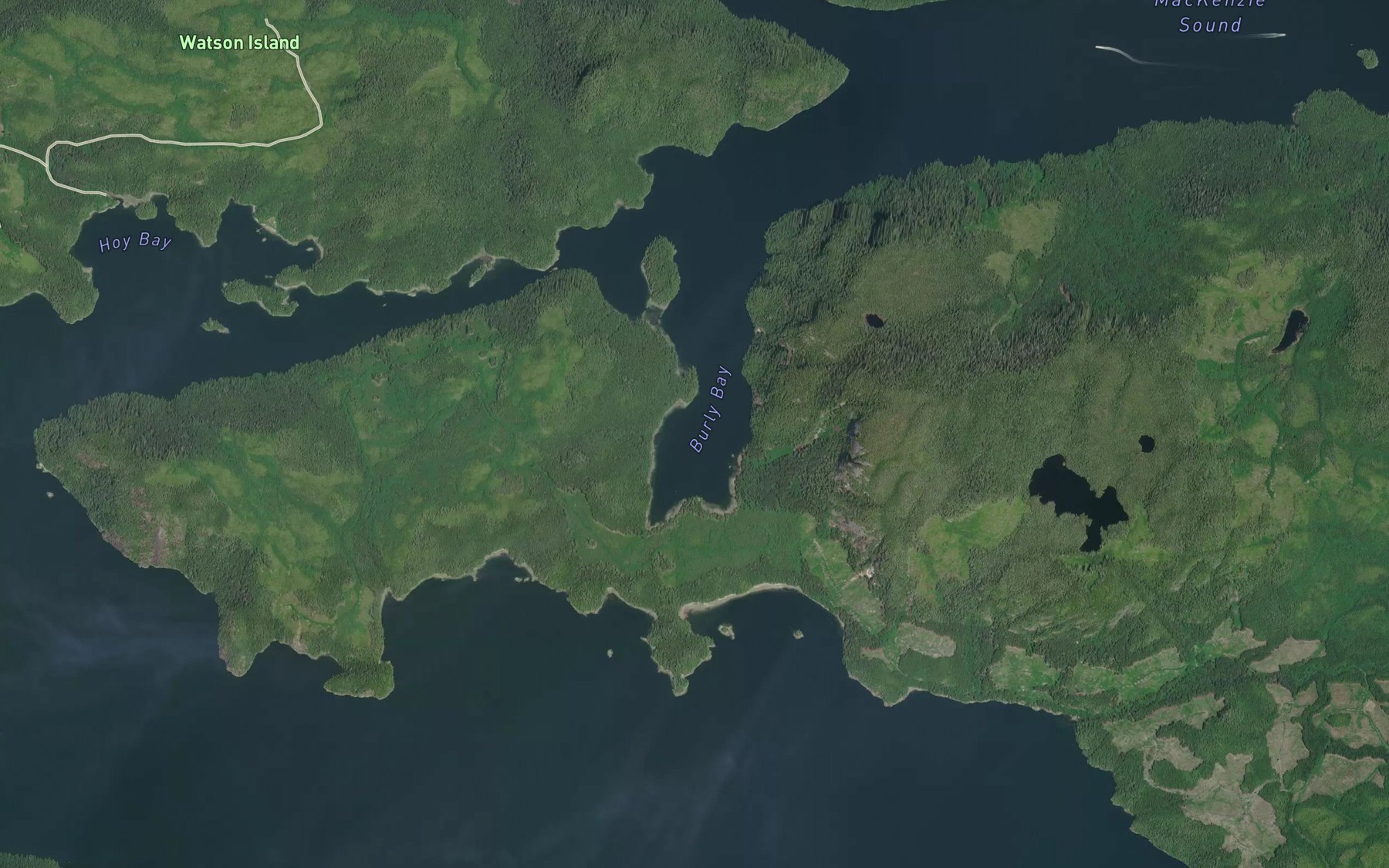 Satellite map of the Burly Bay