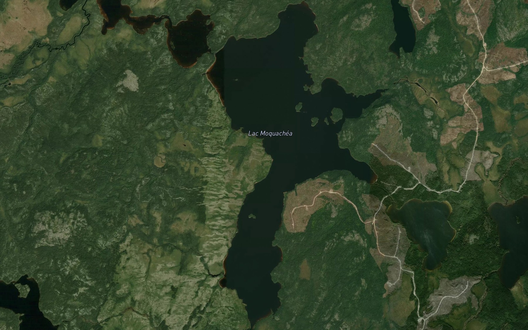 Satellite map of the Lac Moquachea