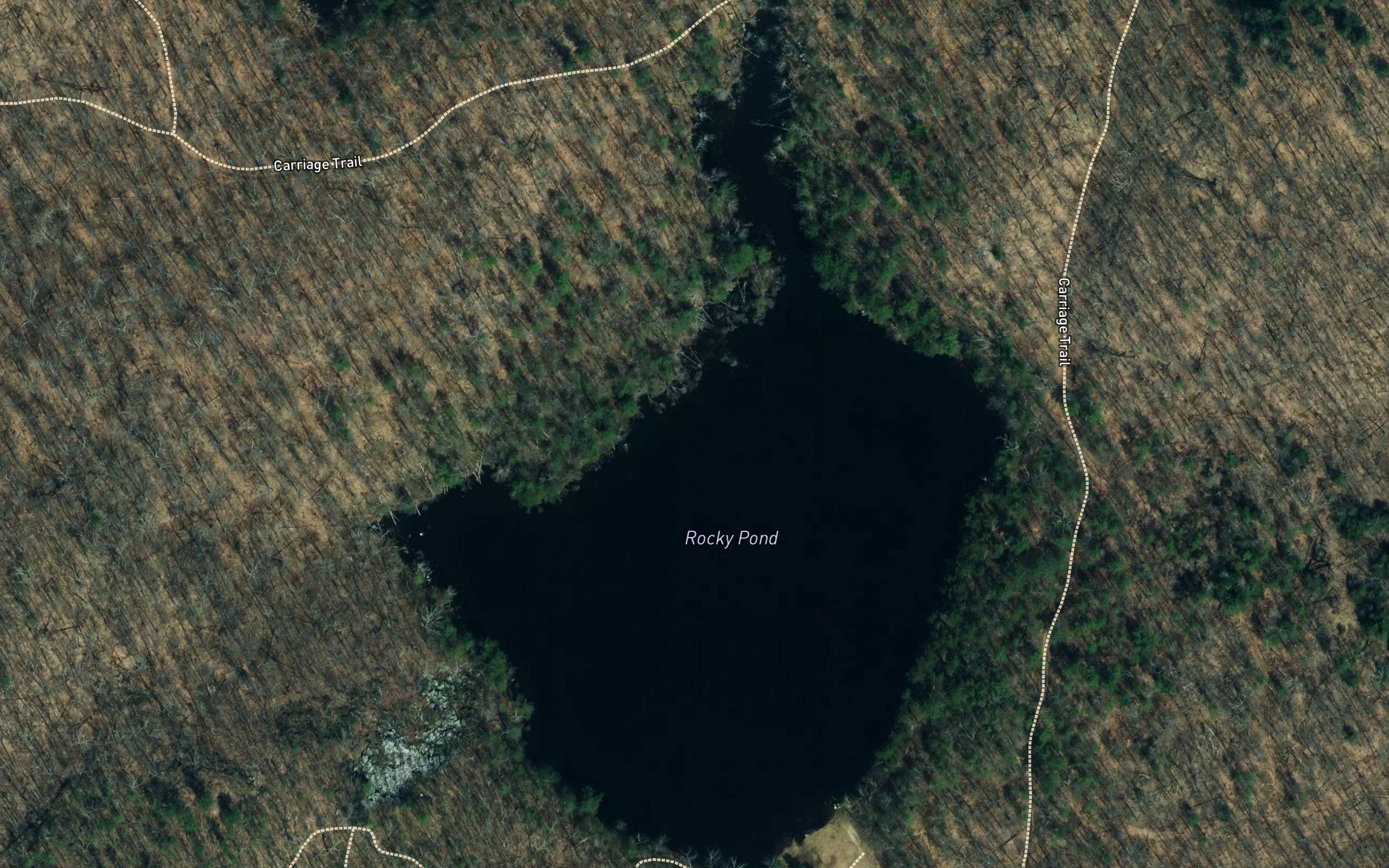 Rocky Pond